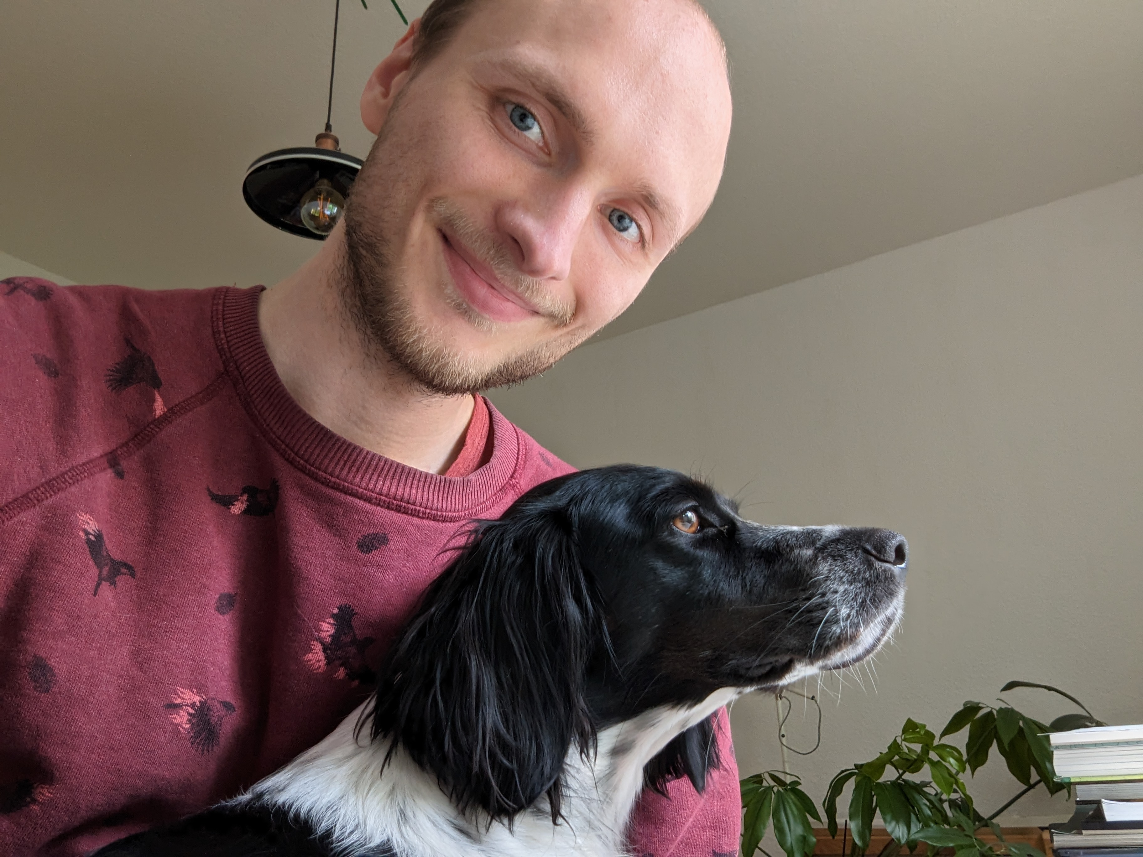 user avatar image for Peter