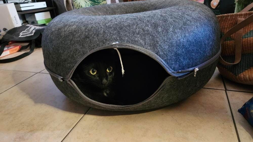 user avatar image for DreamHaven