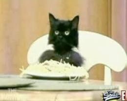 user avatar image for Lexi G