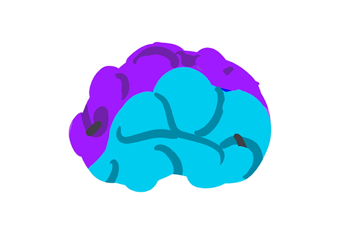 Zipper scar w/ removeable gummy brain (purple + blue)