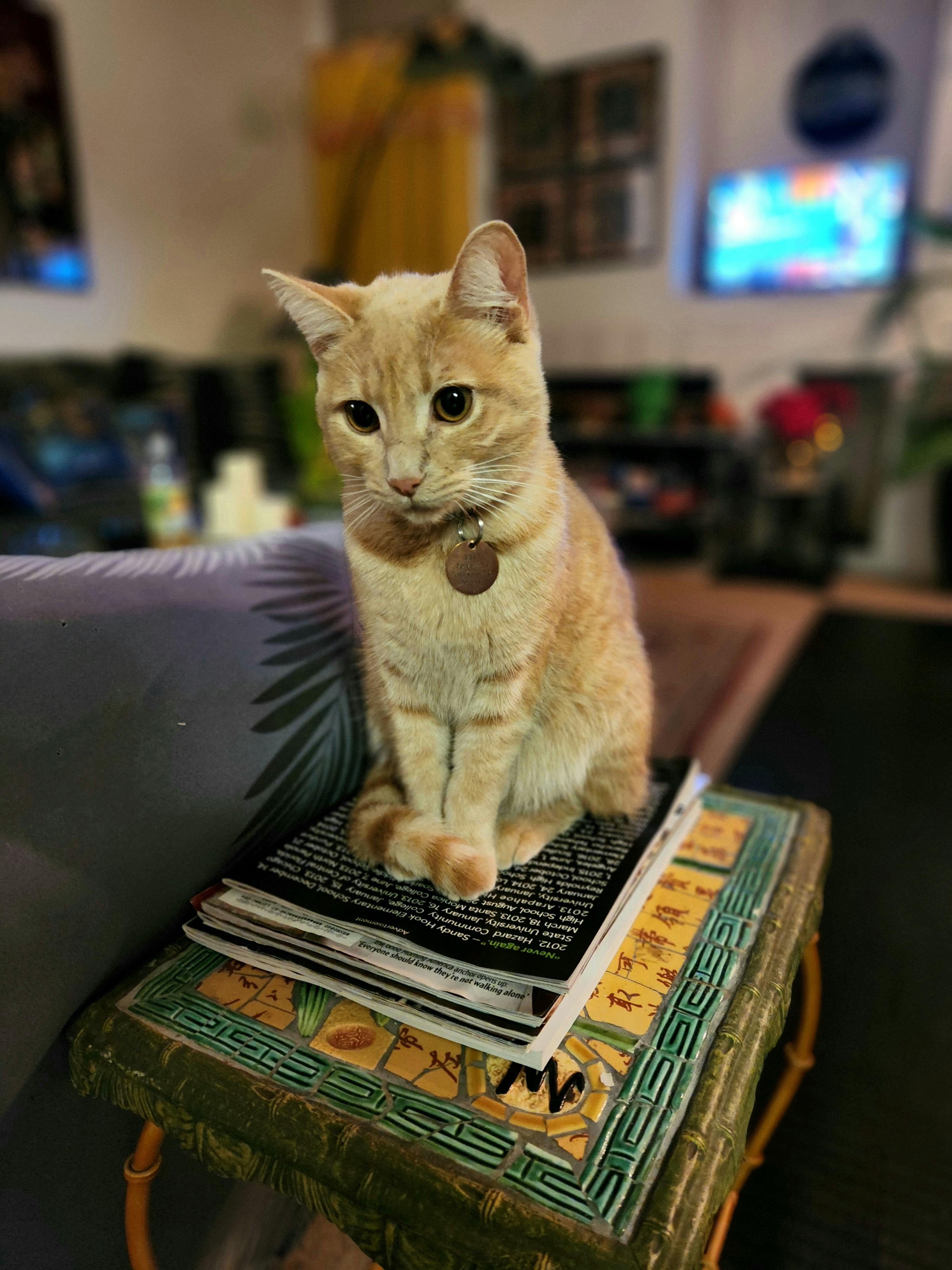 user avatar image for Tiffany T