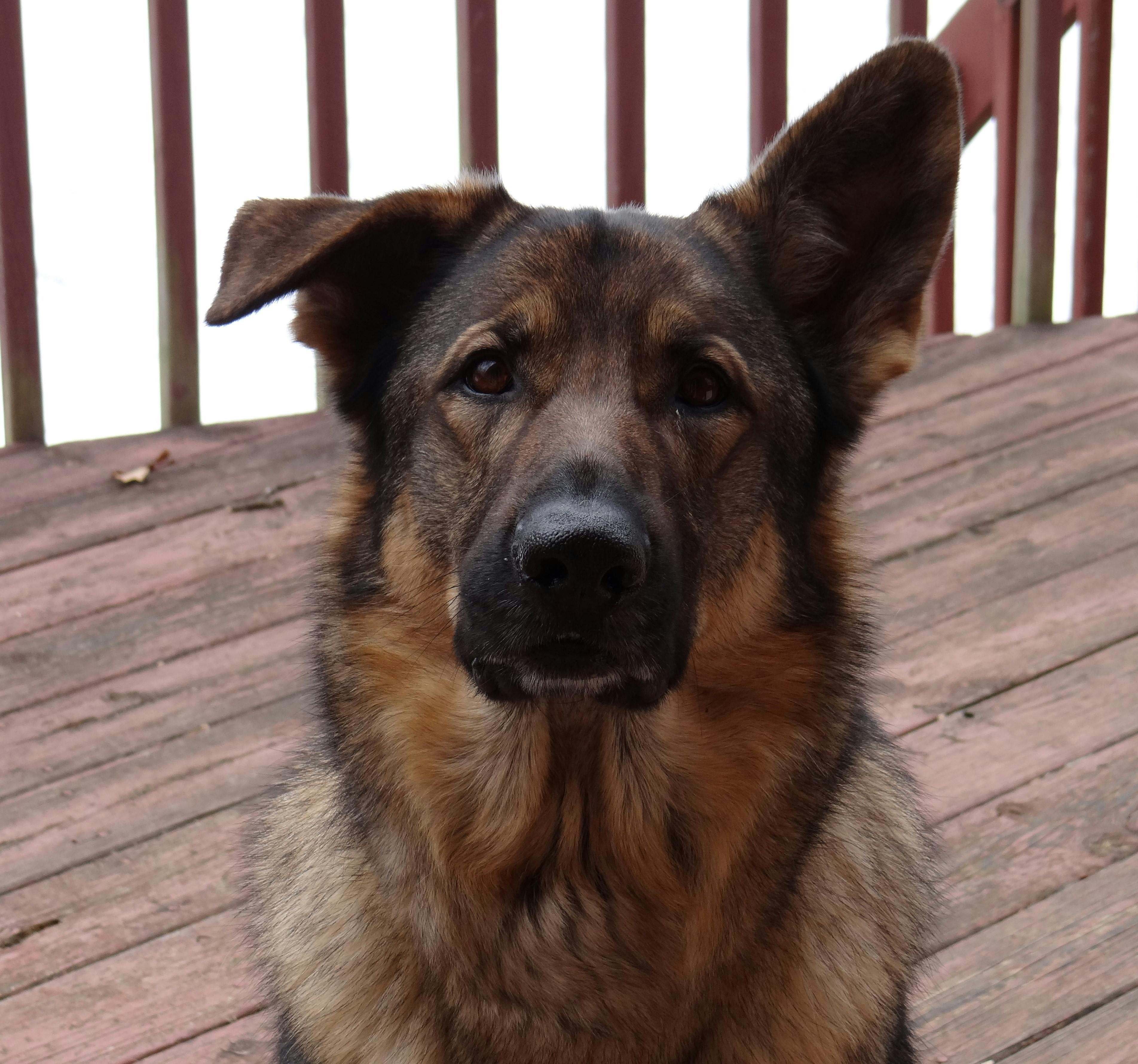 user avatar image for Jan P.