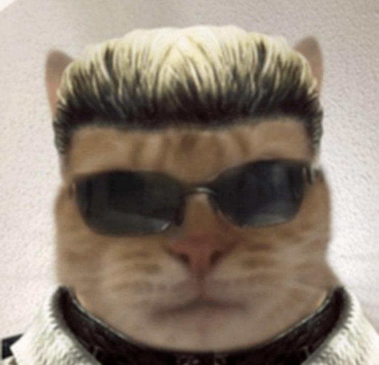user avatar image for Sean Tester