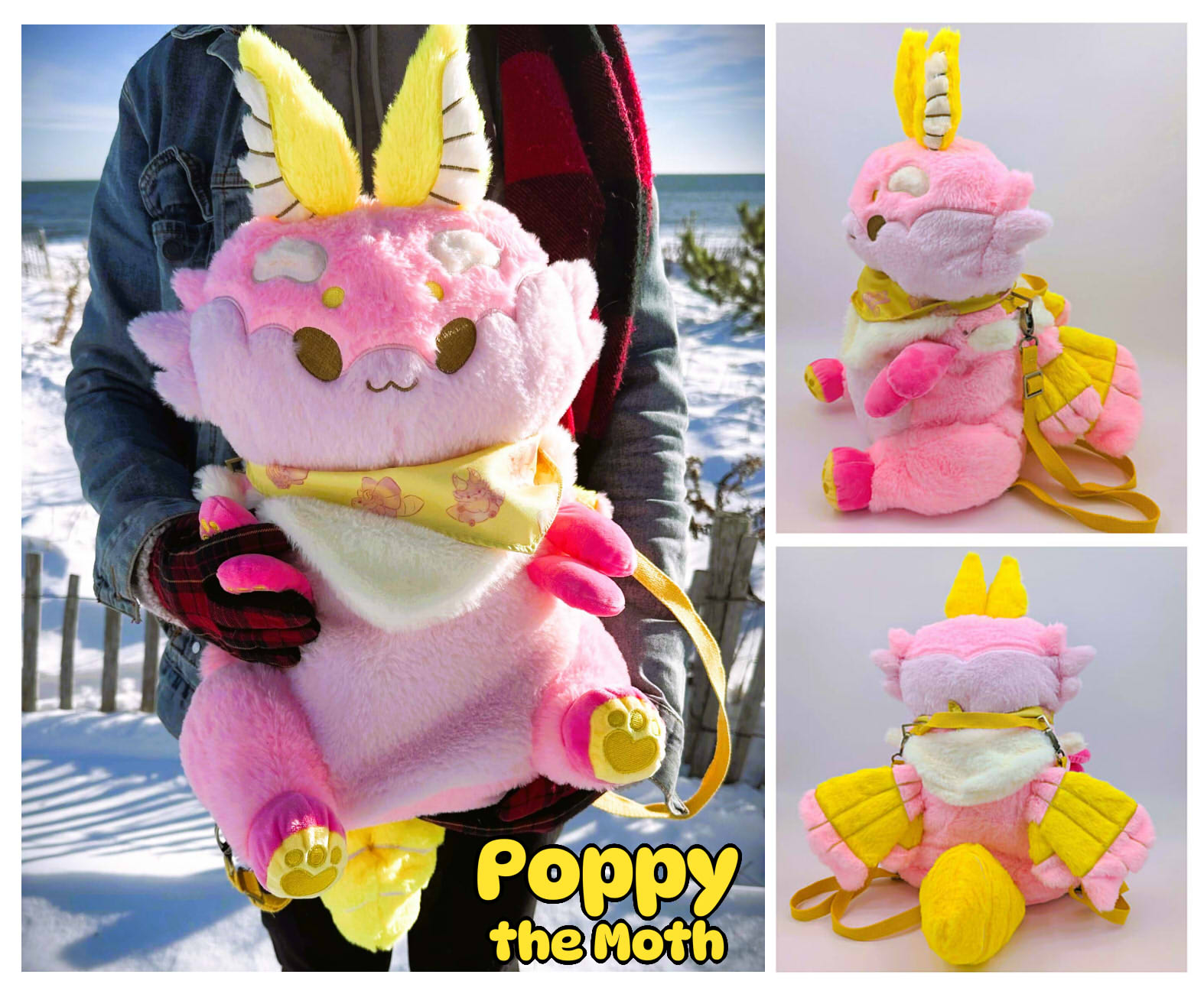 Let's fund Poppy Moth!