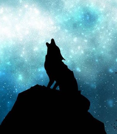 user avatar image for Narlotep