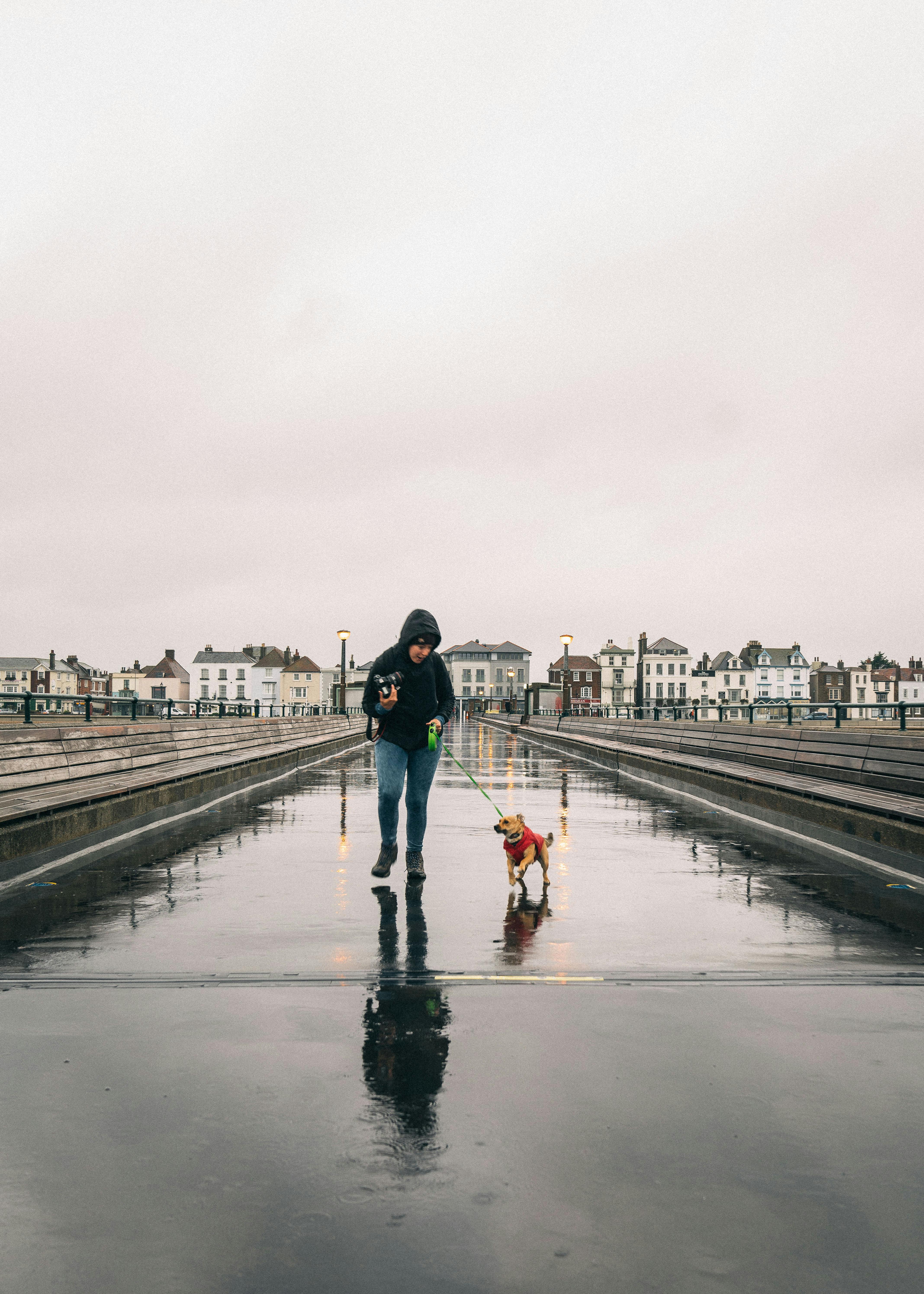 user avatar image for Lins Park