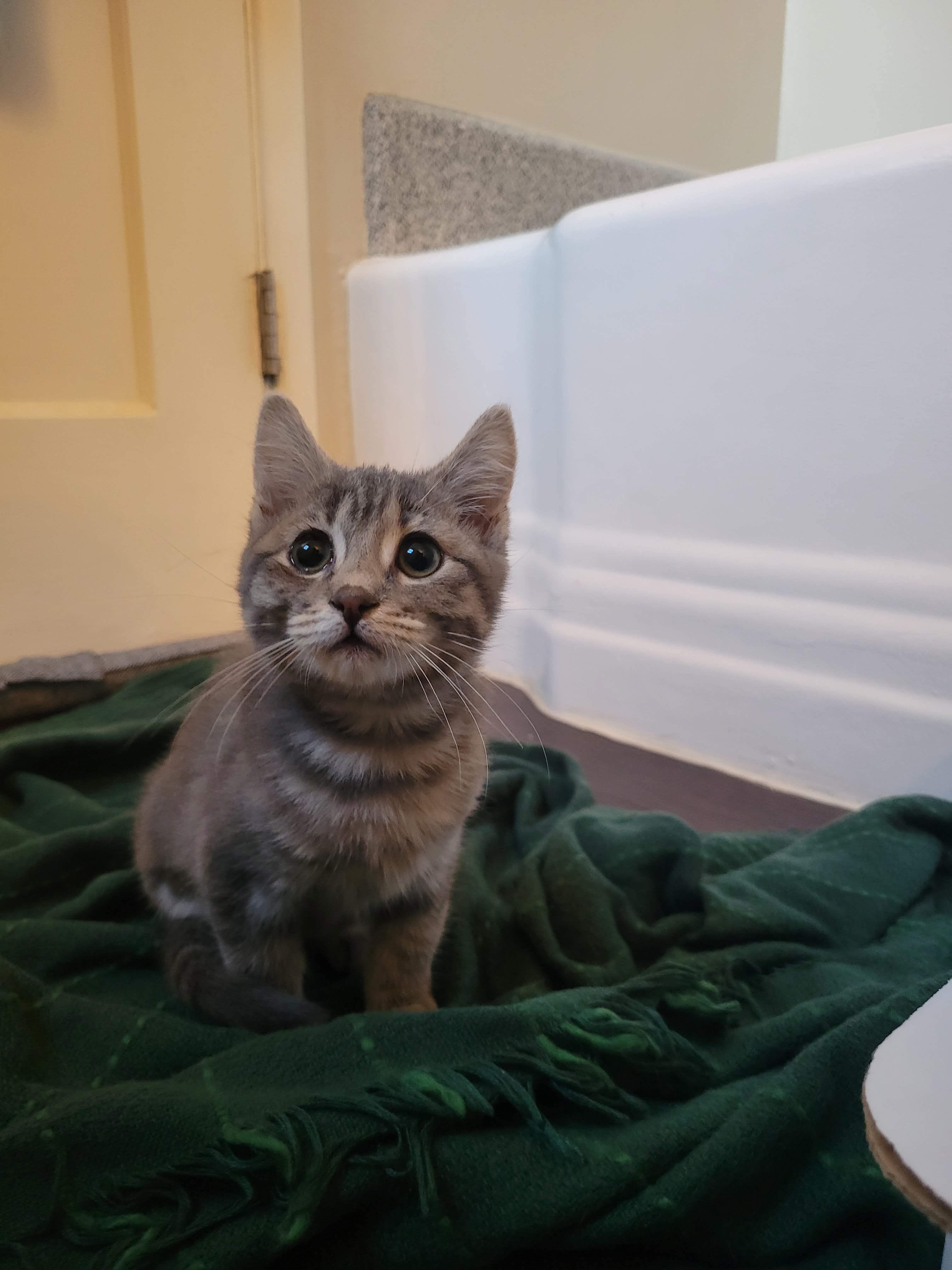 user avatar image for Elgid42