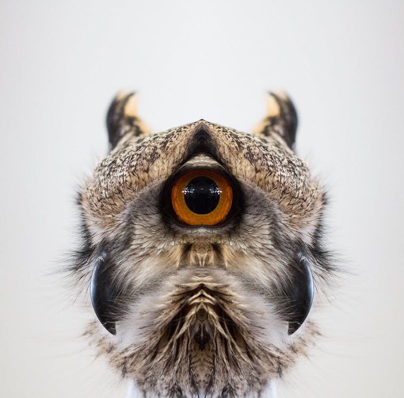 user avatar image for Dave Edens