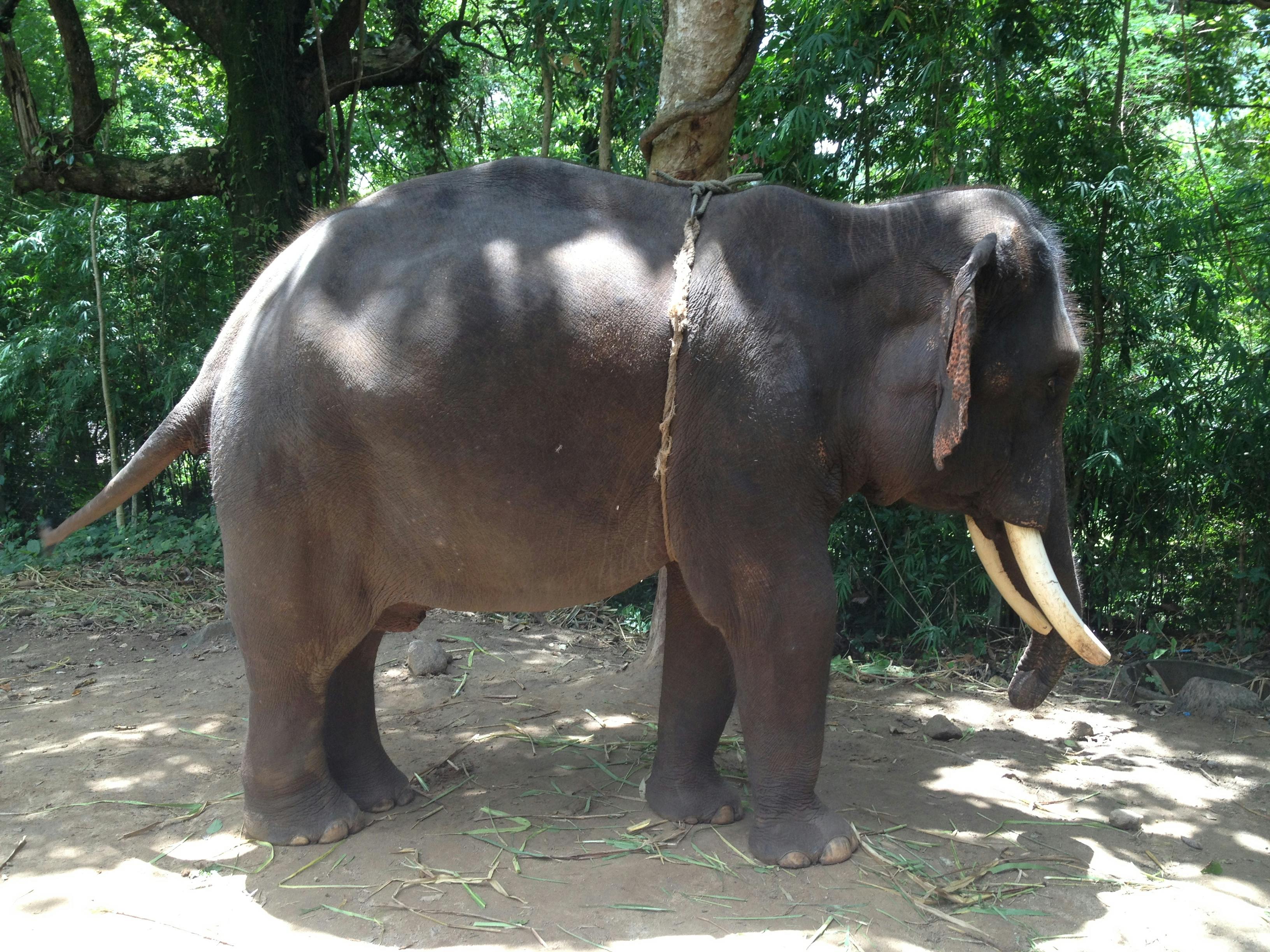 user avatar image for Jeb