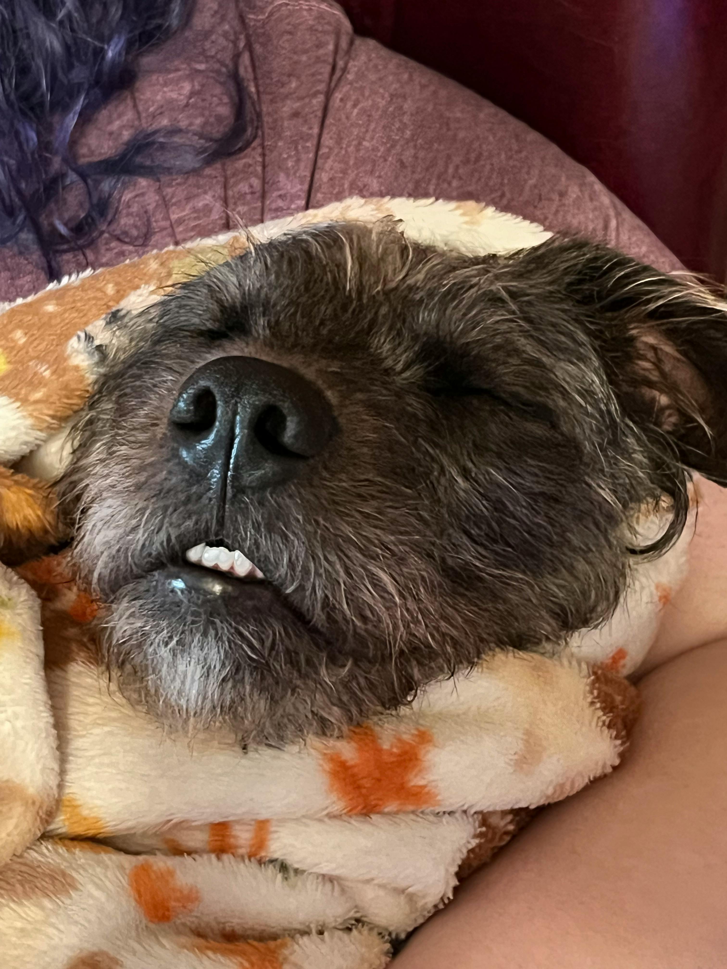 user avatar image for Togerblast