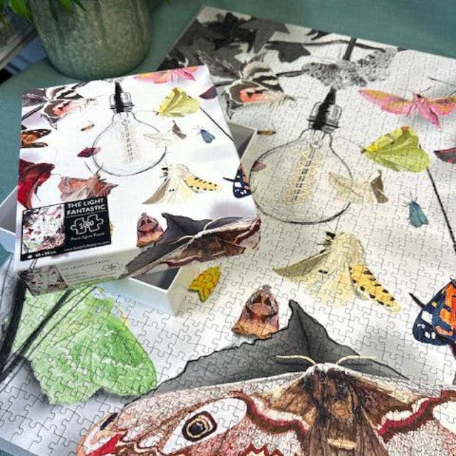 a 100 piece jigsaw showing lots of moths flying towards a lit light bulb and surrounded by black silhouette foliage.