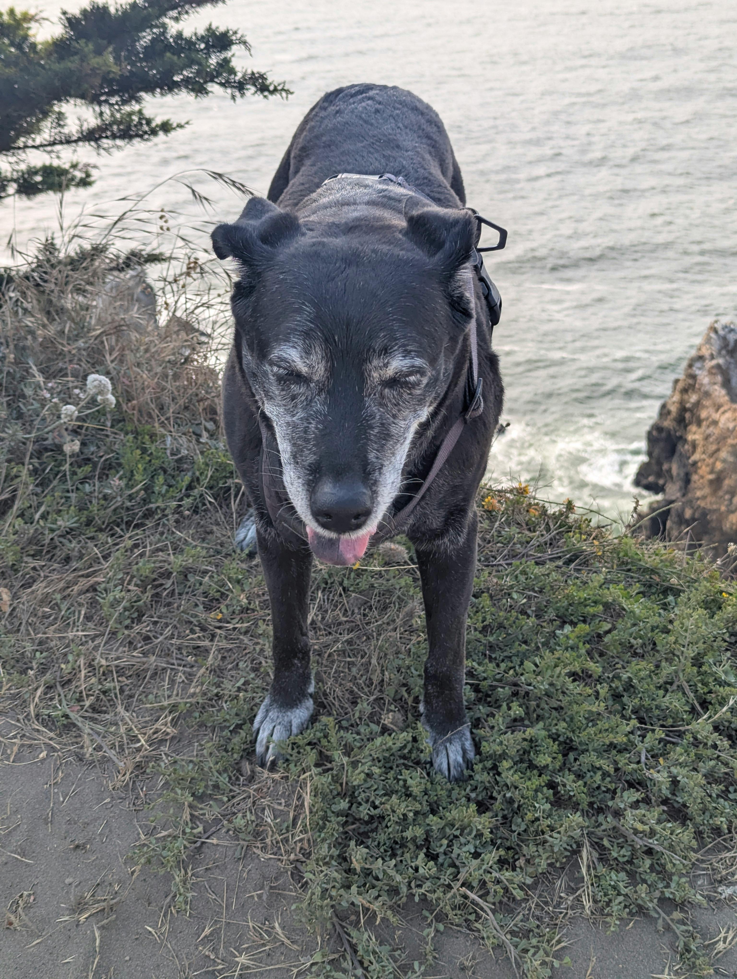 user avatar image for Ellis Coombs 