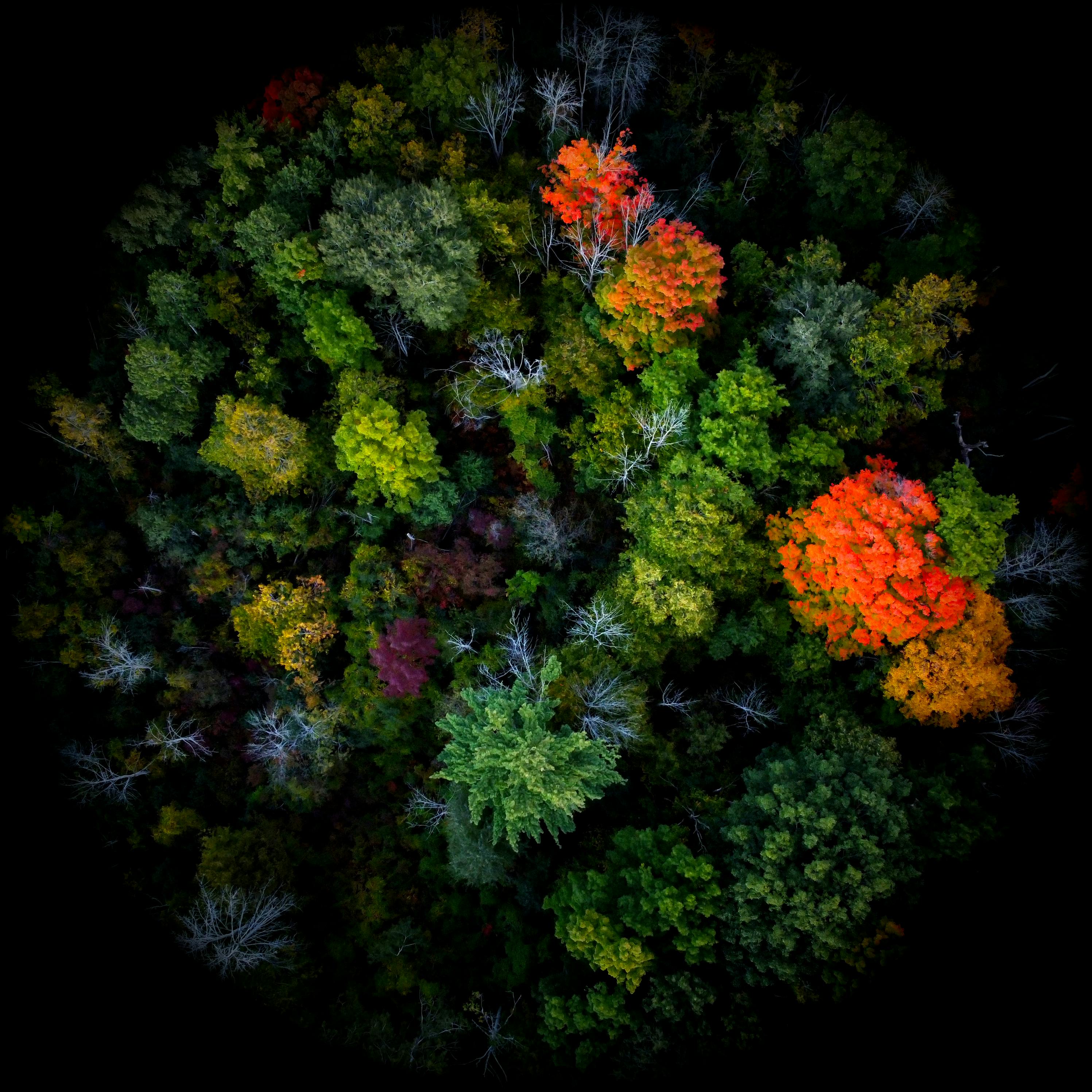 user avatar image for Colm Pattwell