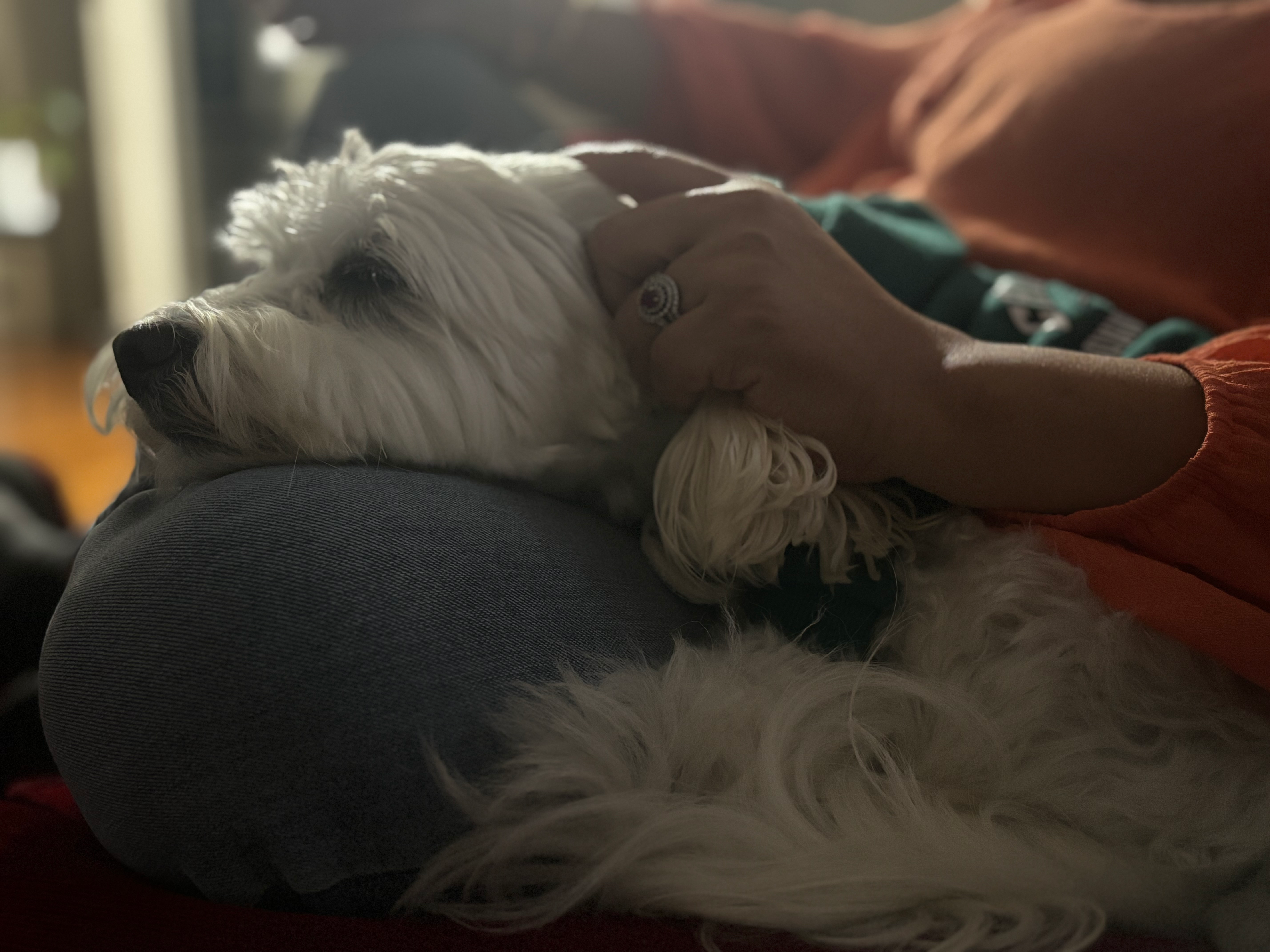 user avatar image for Brad Stokes