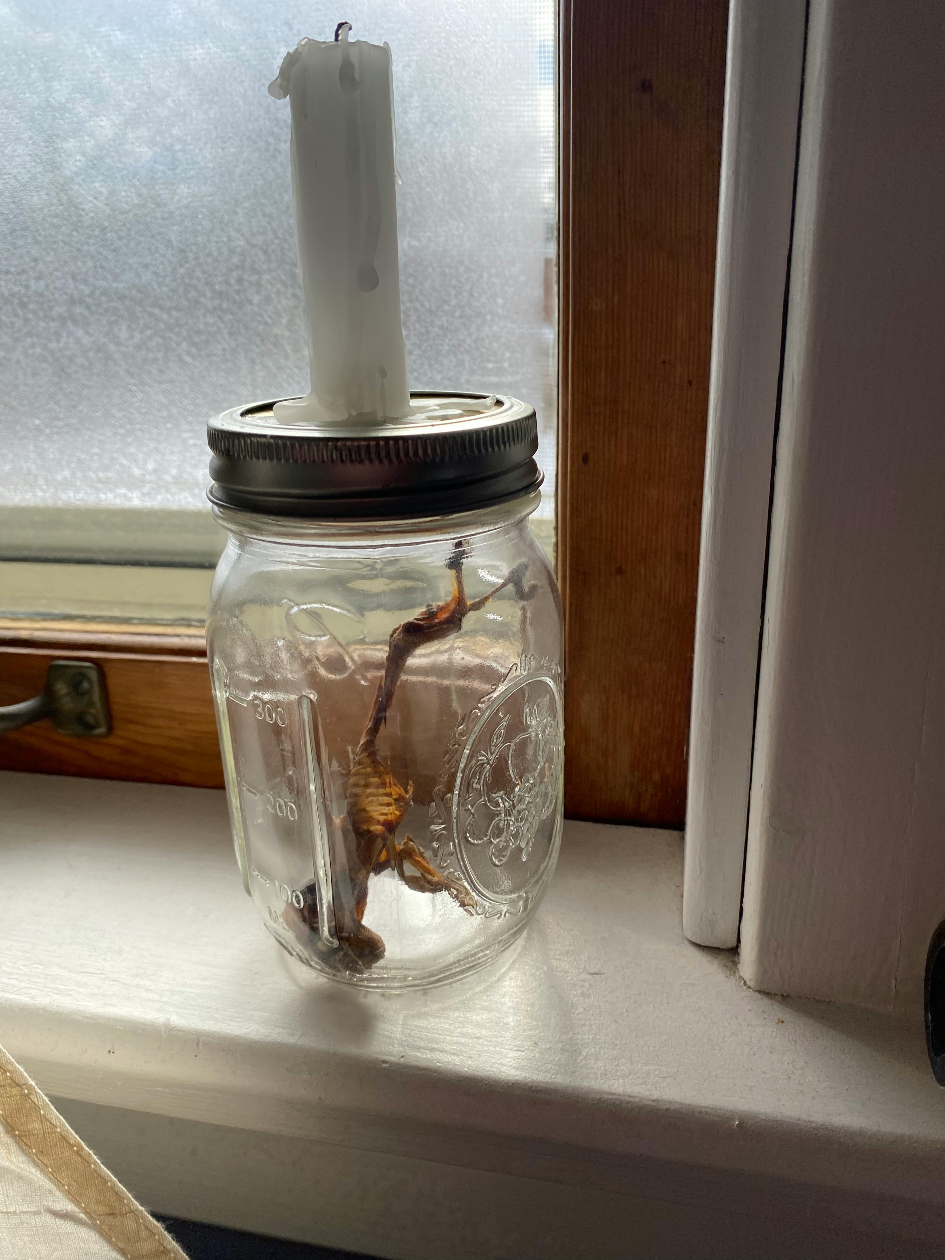 user avatar image for KyleS.