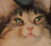 user avatar image for Kielo Lammi