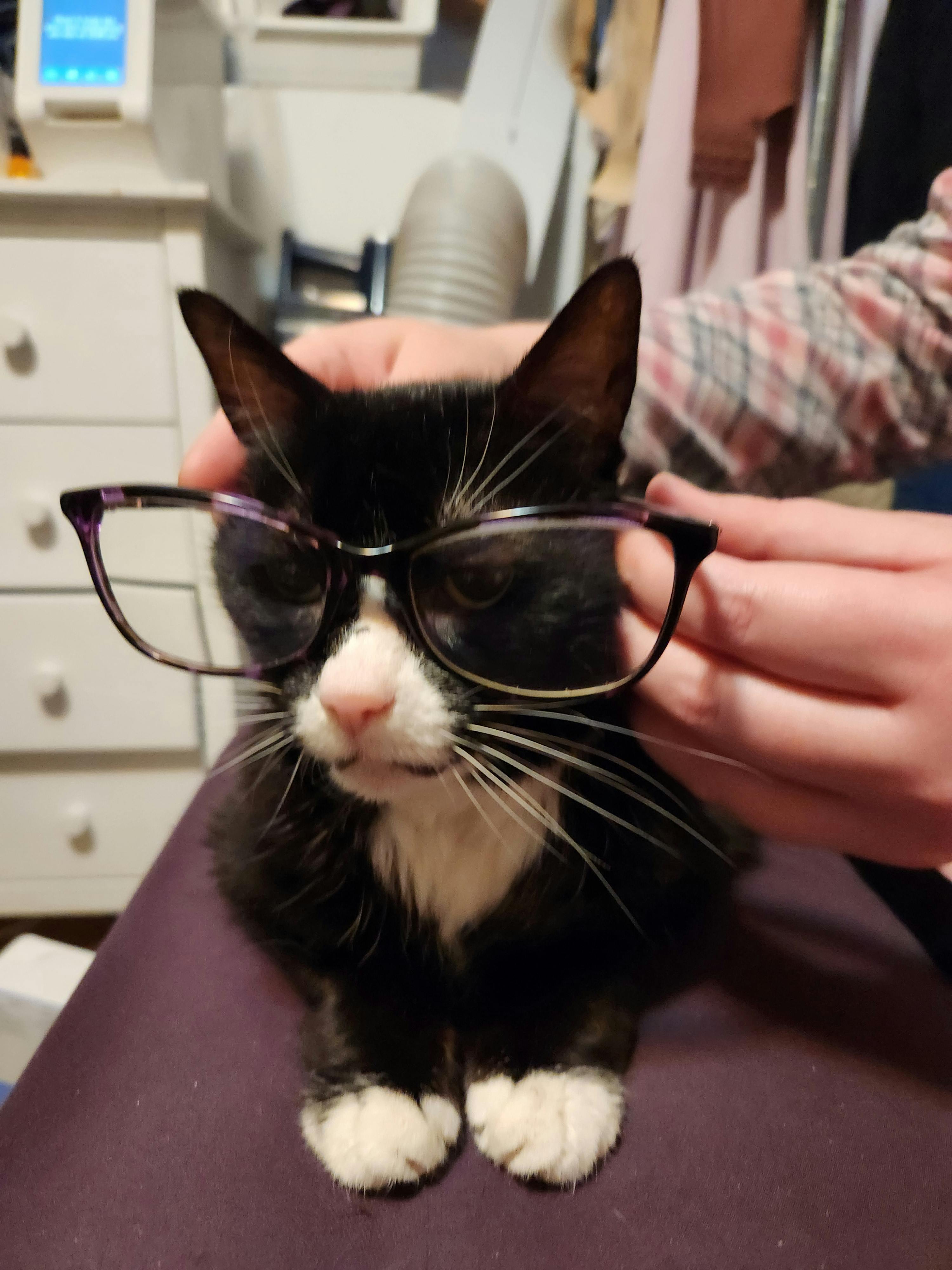 user avatar image for Victoria Leigh Clary