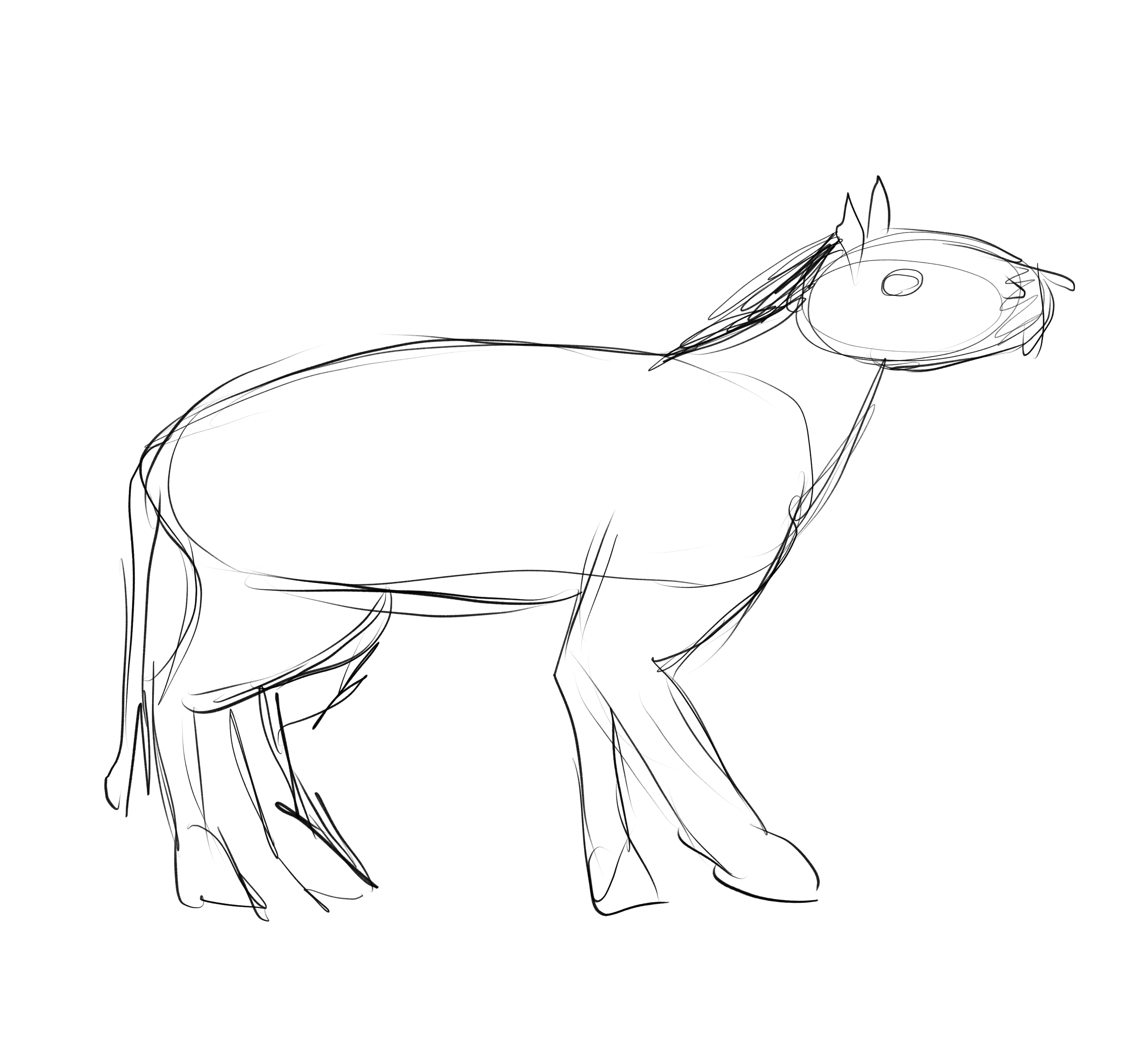 Eohippus