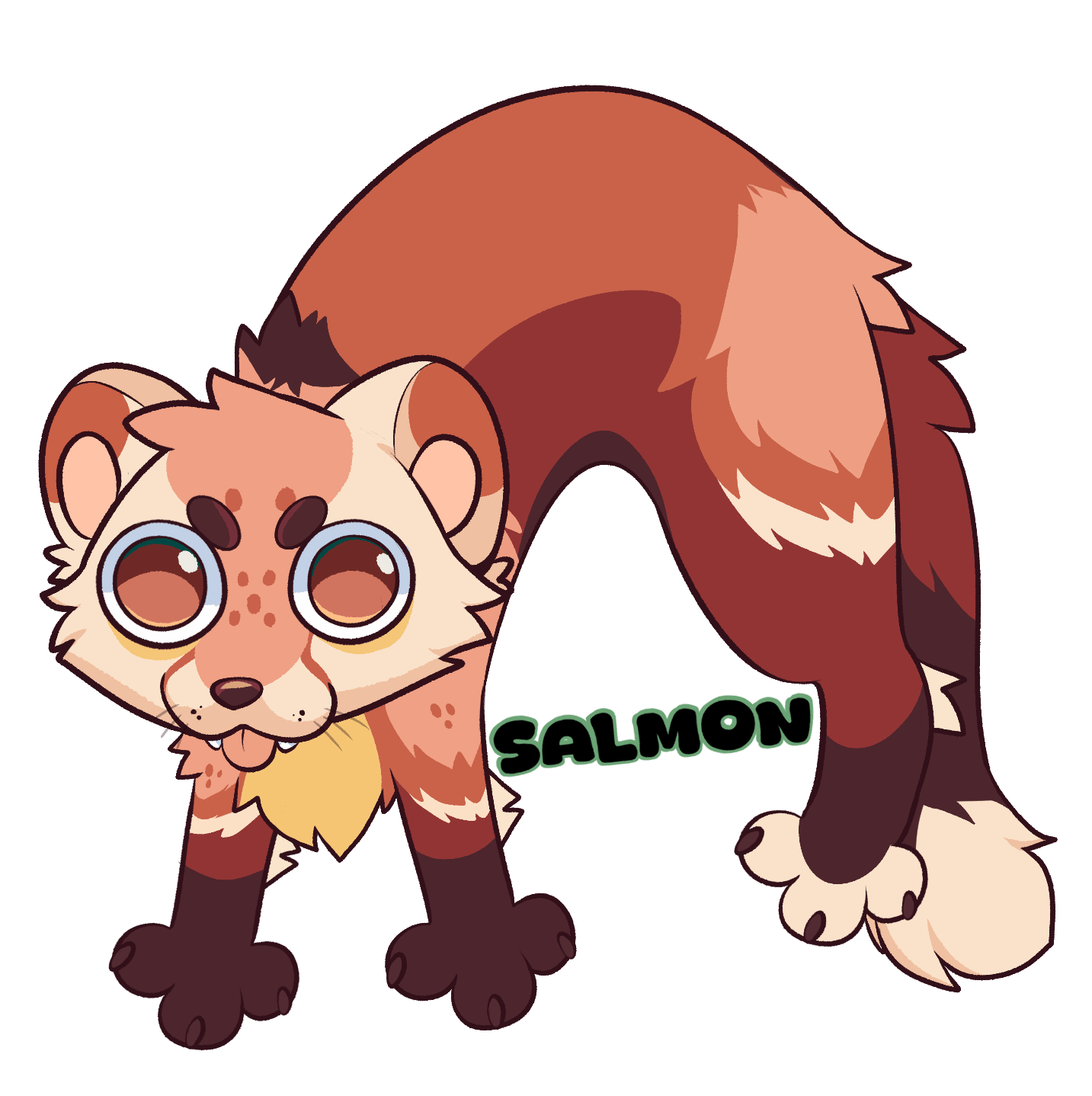 user avatar image for Salmon P. Marten