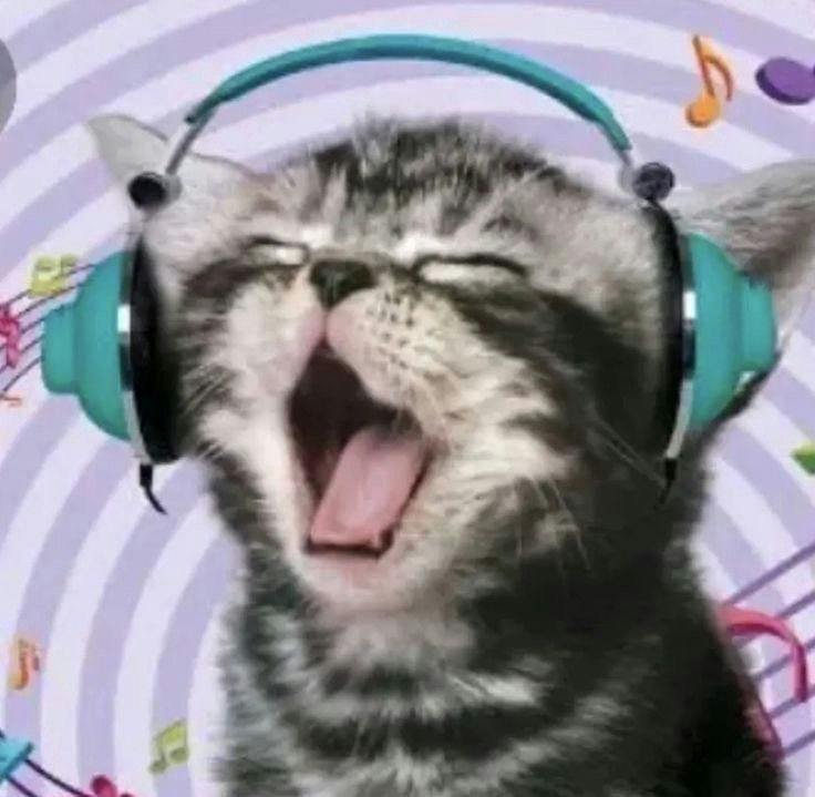 user avatar image for KittykatzMelz