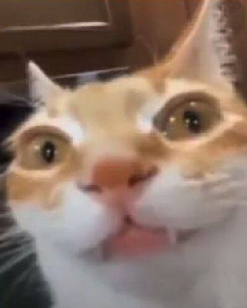 user avatar image for Dani