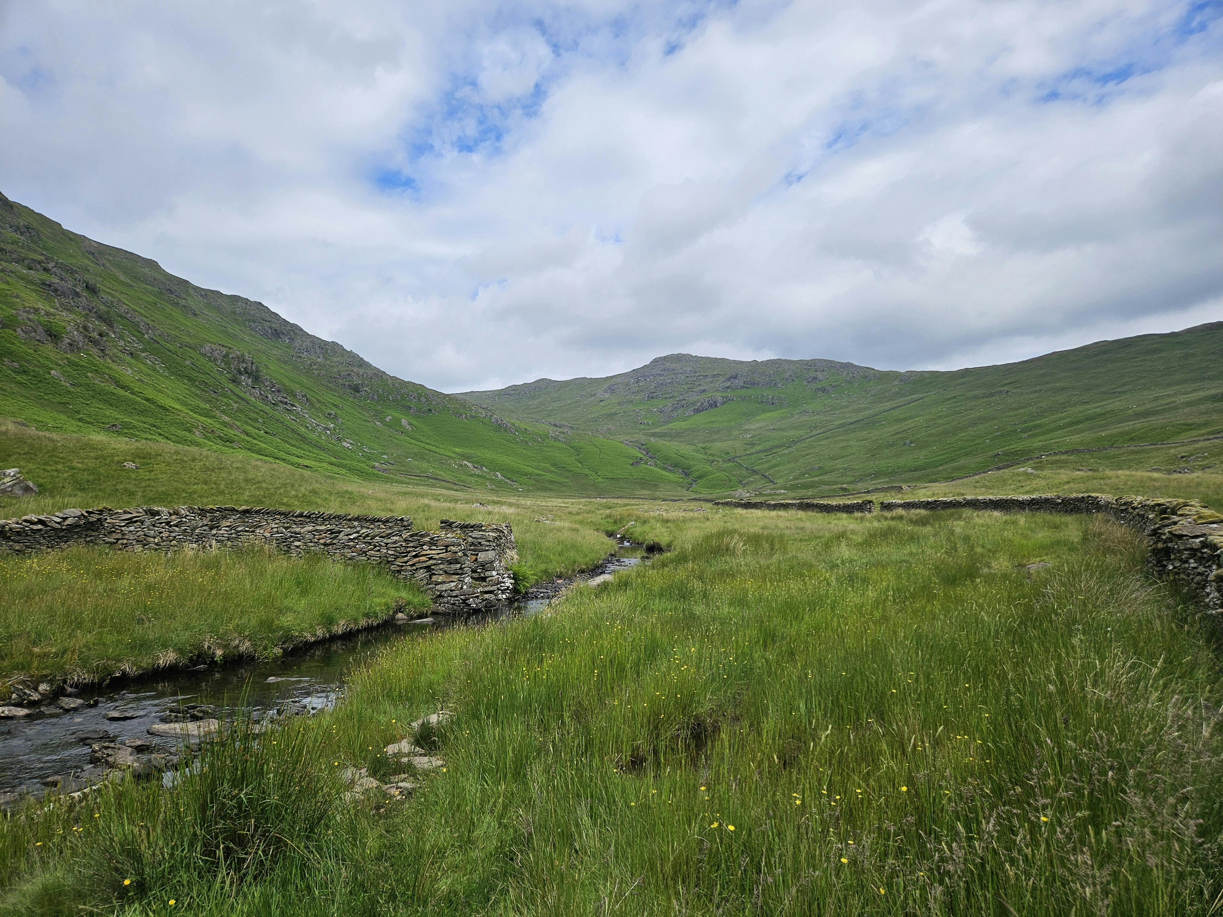 user avatar image for A