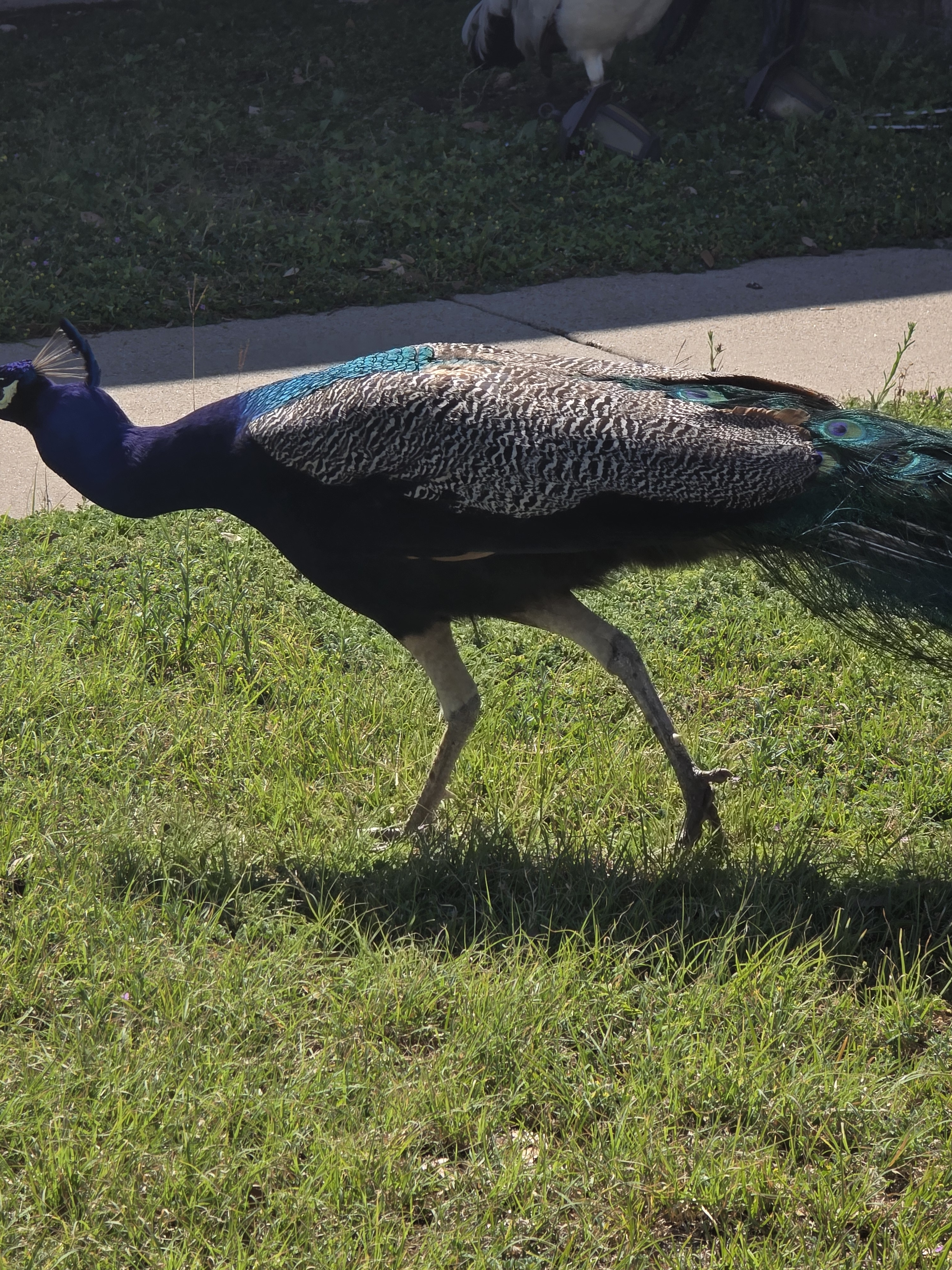 user avatar image for Wayne