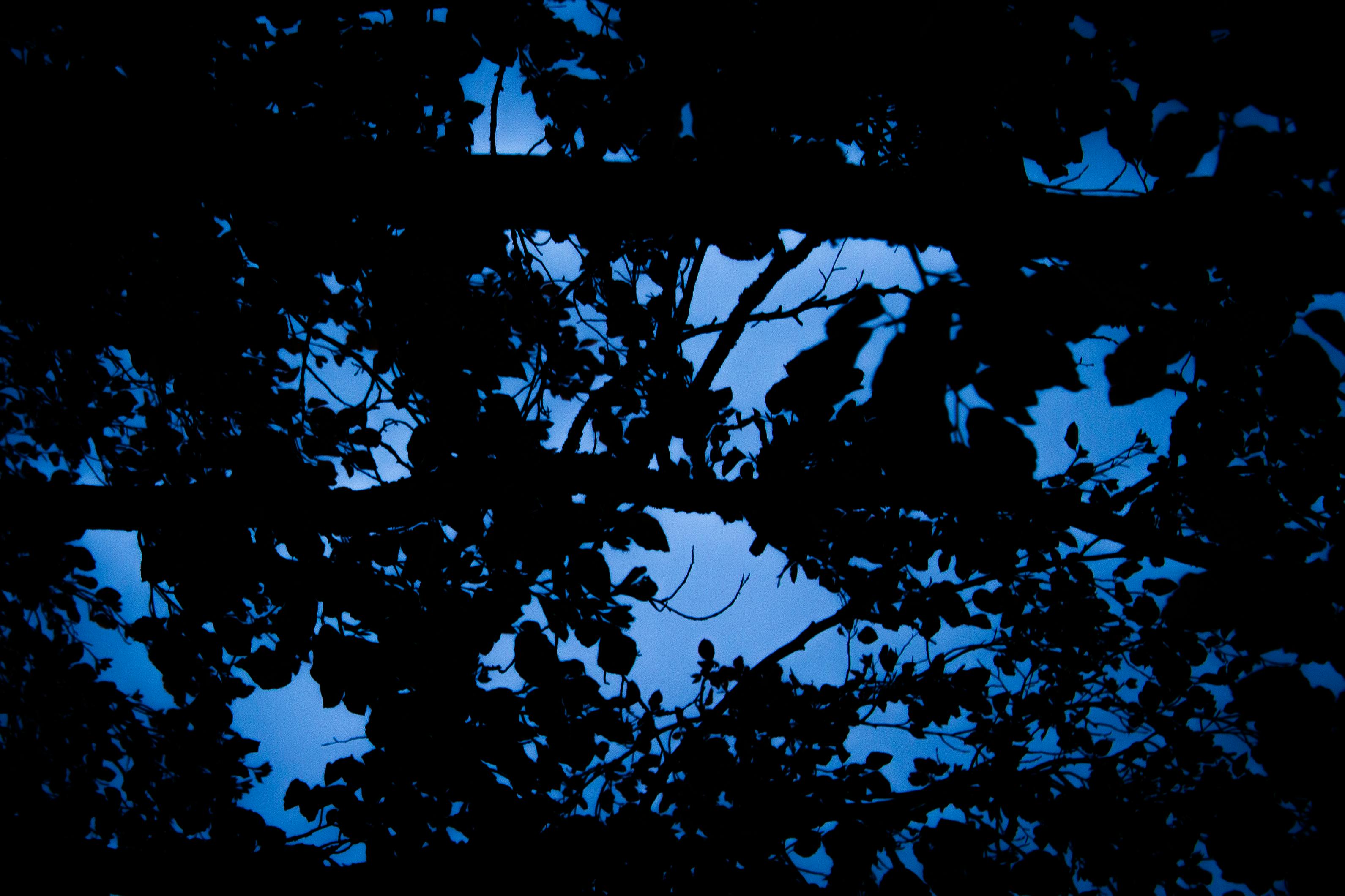 user avatar image for Mathias Fottland