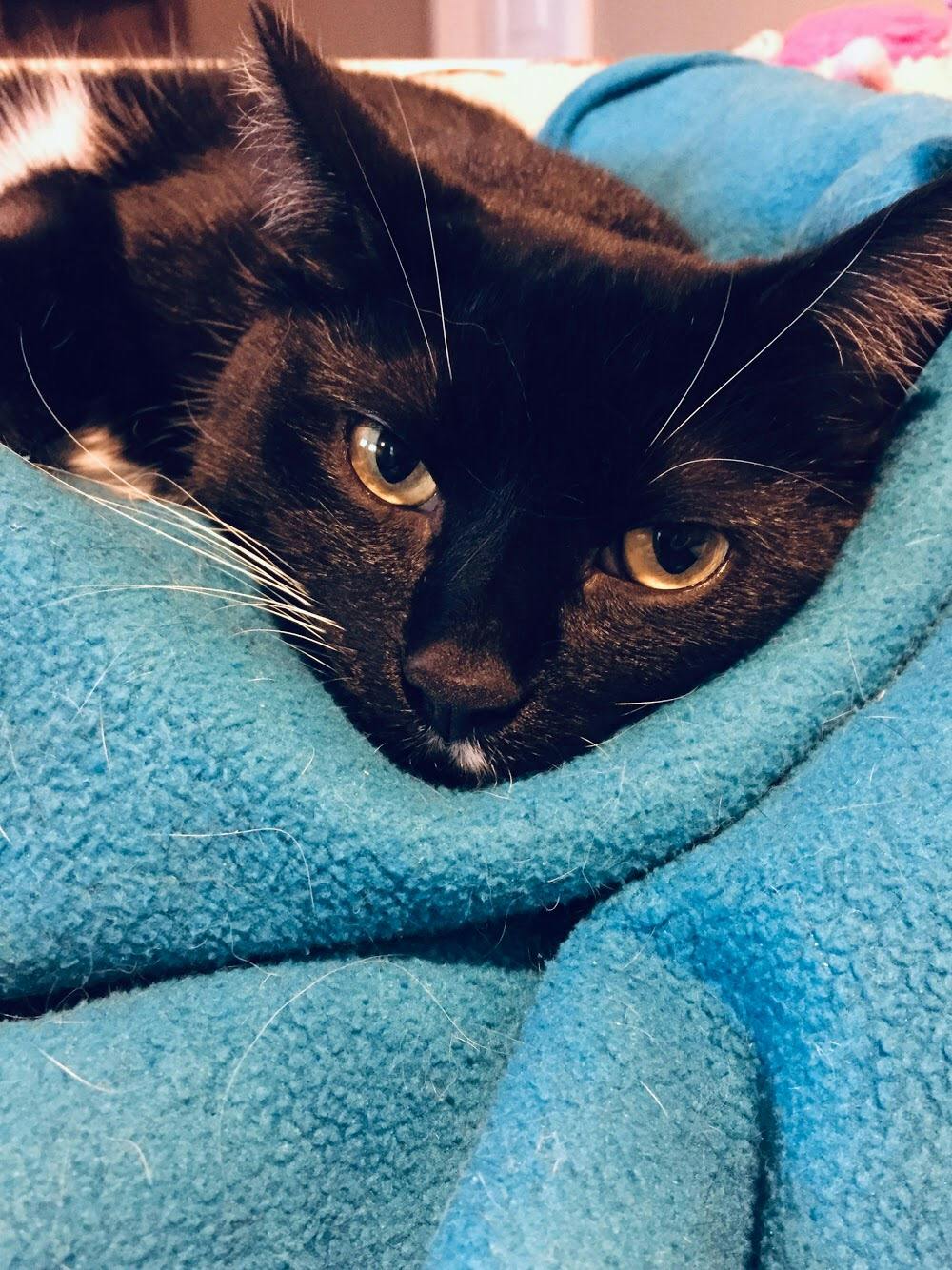 user avatar image for Melissa