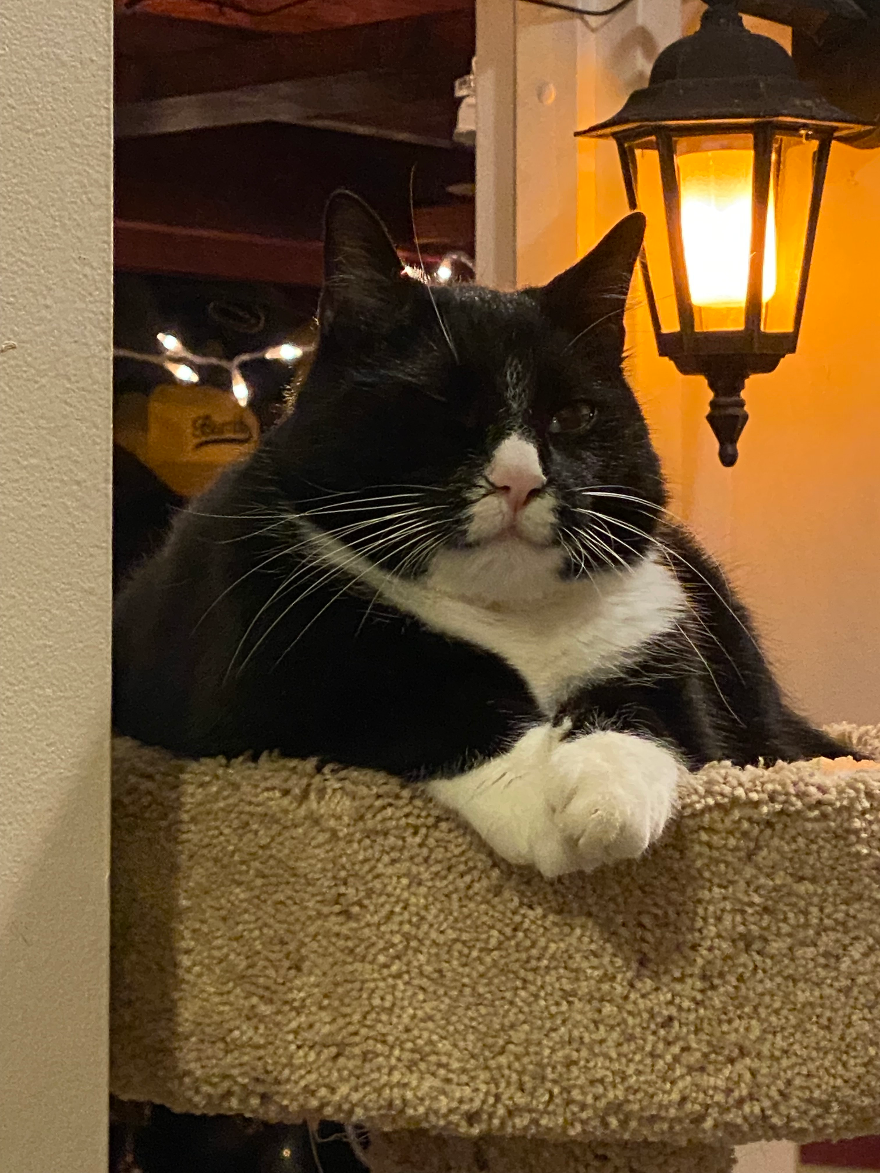 user avatar image for Gabe Manry