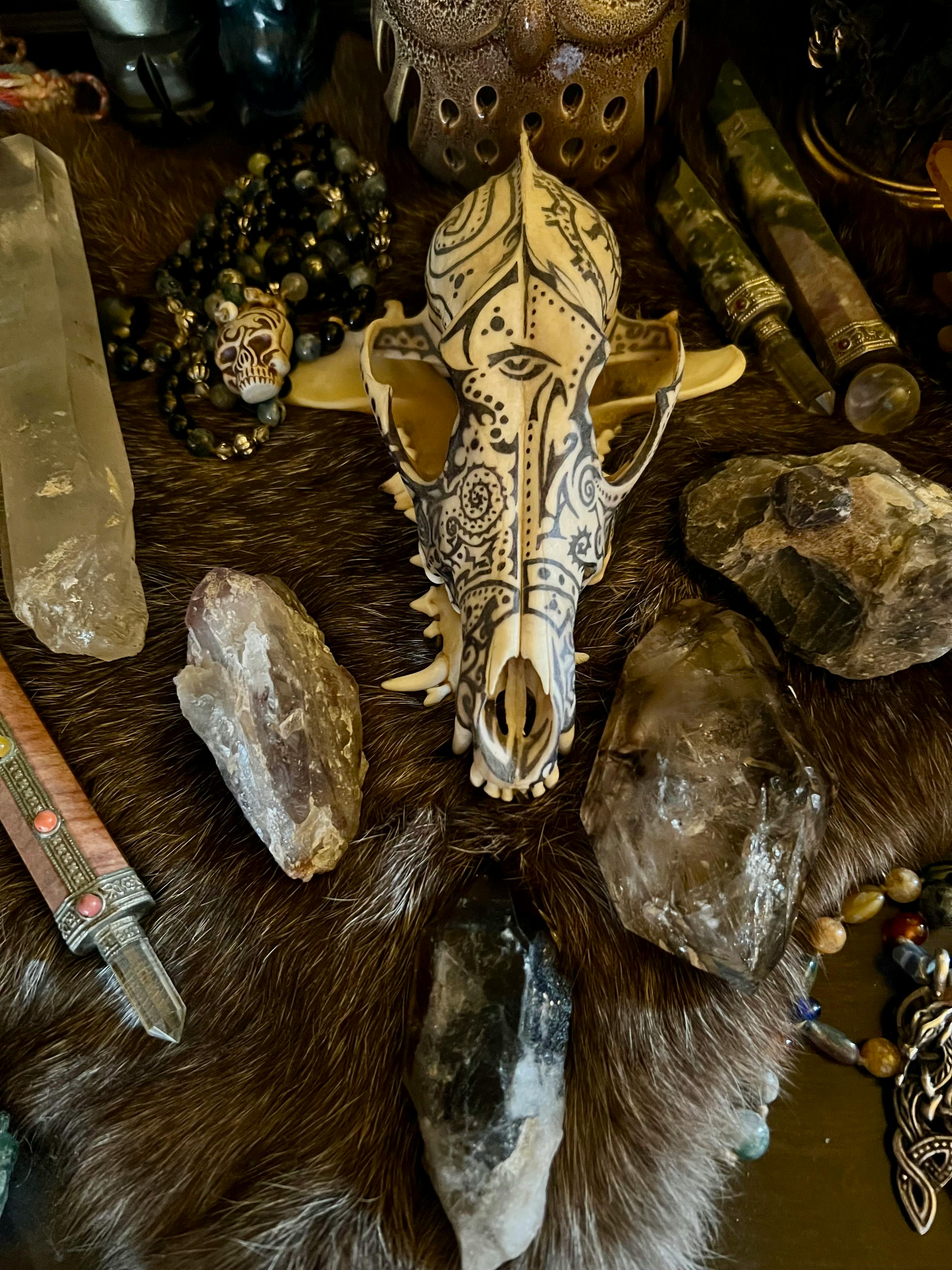 user avatar image for Shaman Fillhart