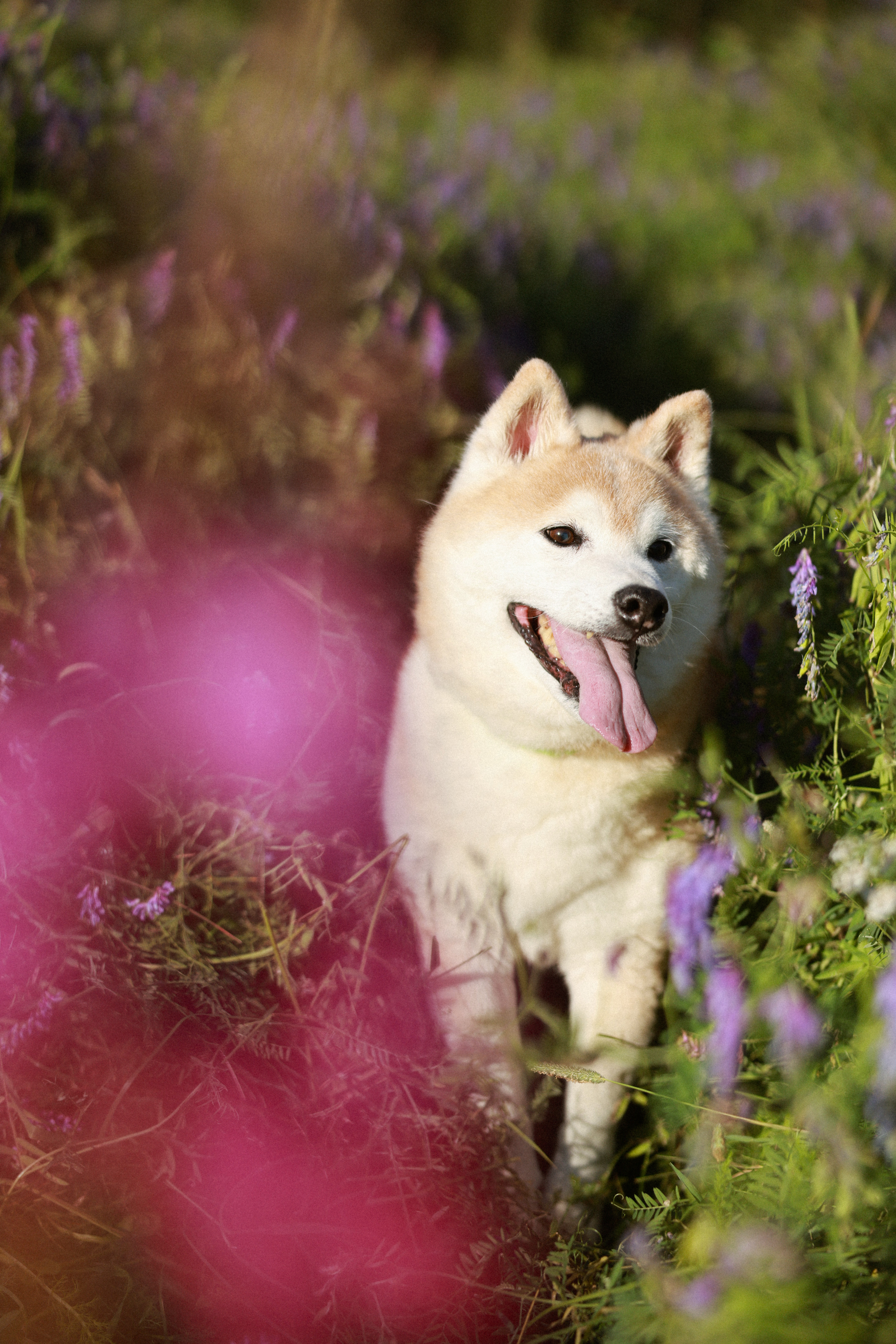 user avatar image for Kristen Donchess