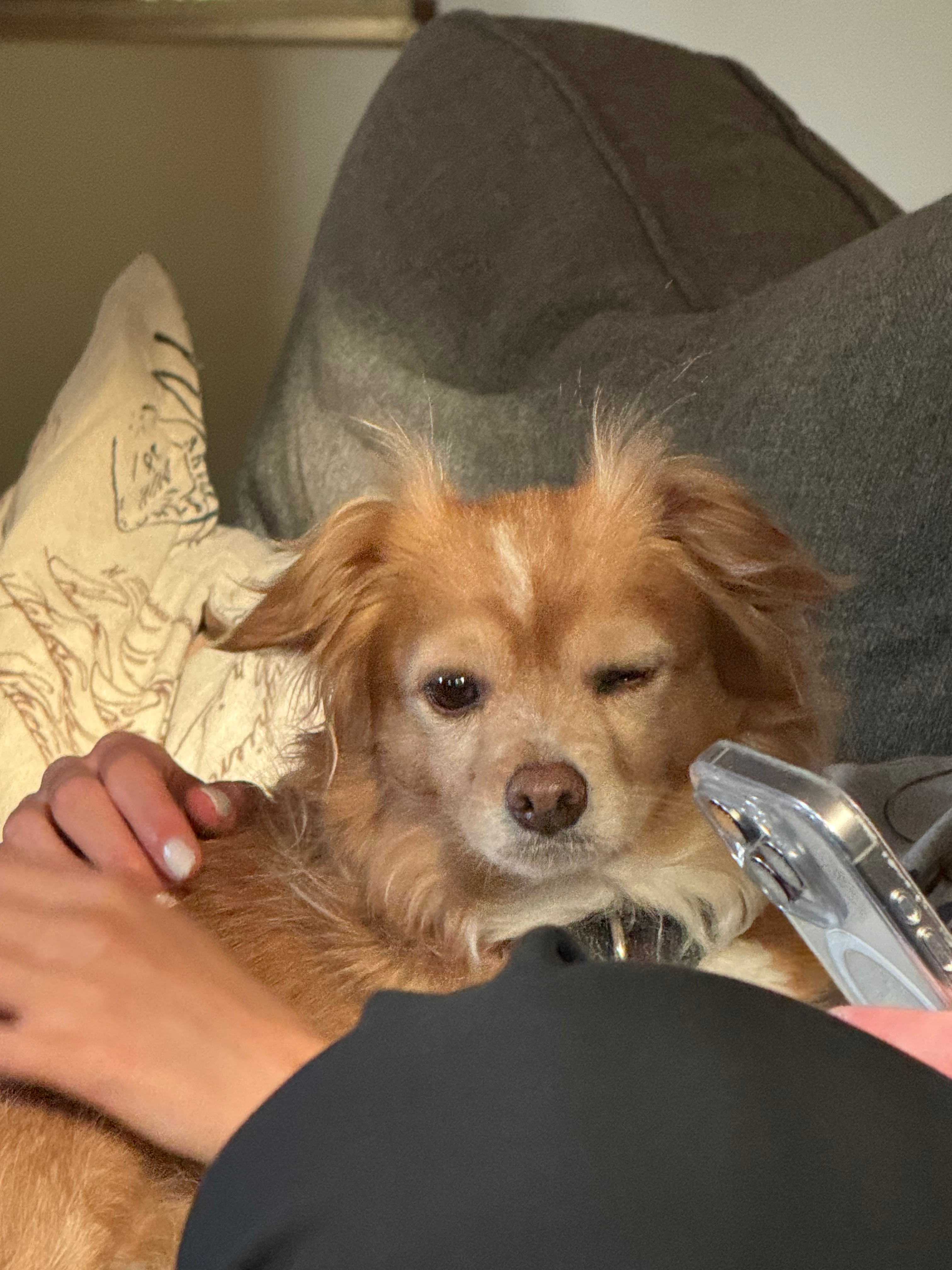 user avatar image for Jon Zuk