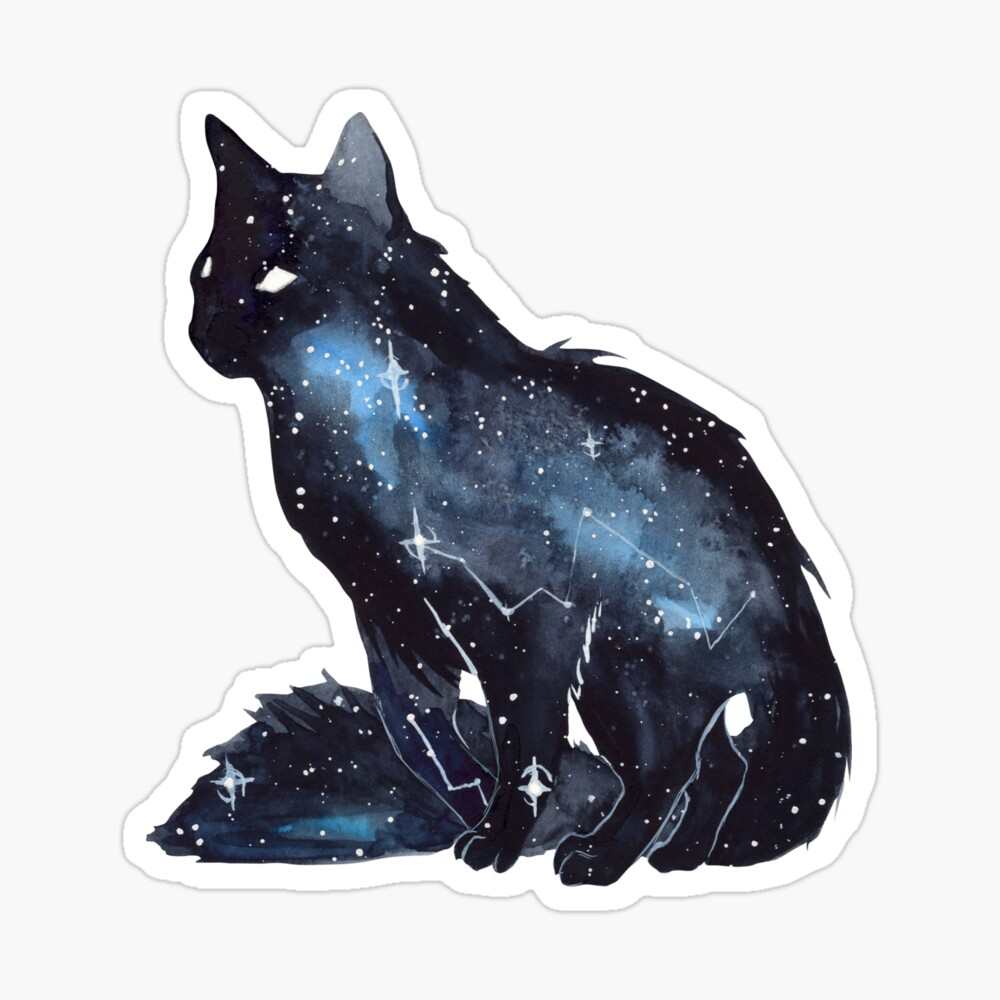 user avatar image for Tess
