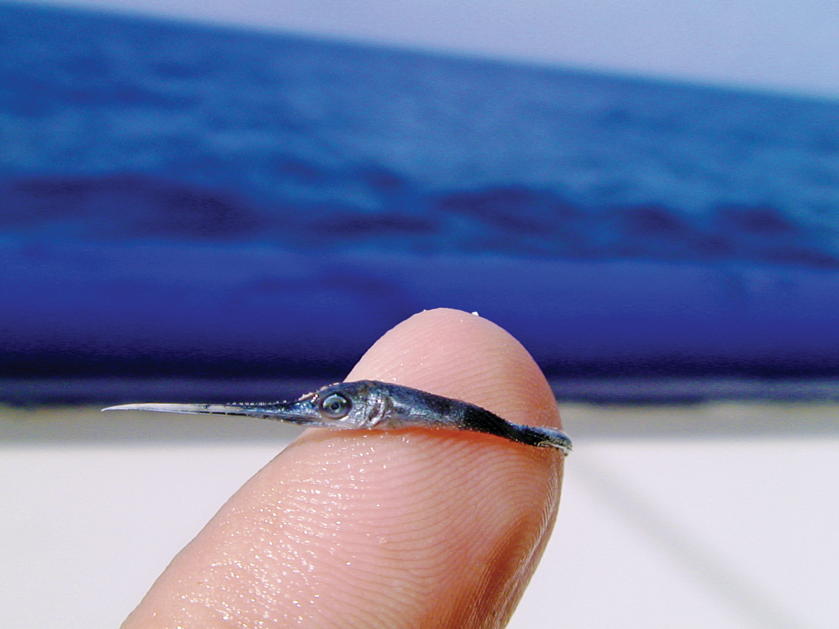 user avatar image for Citlaly