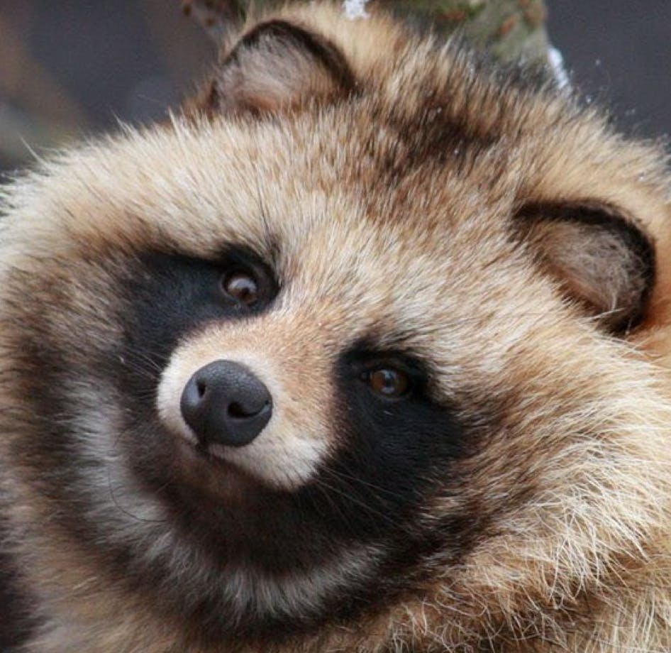 user avatar image for Brandon Metcalf