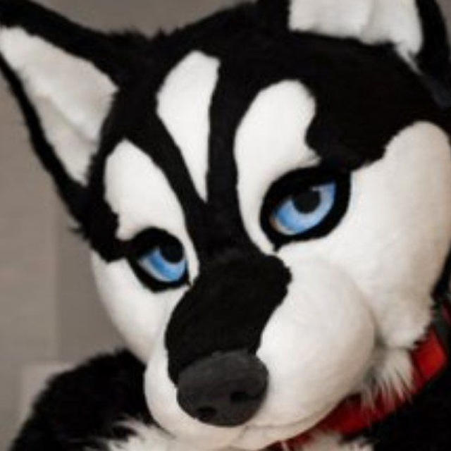 user avatar image for FinnOWolf