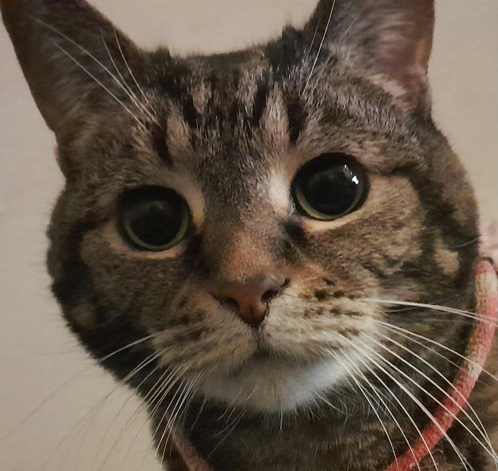 user avatar image for Vermin