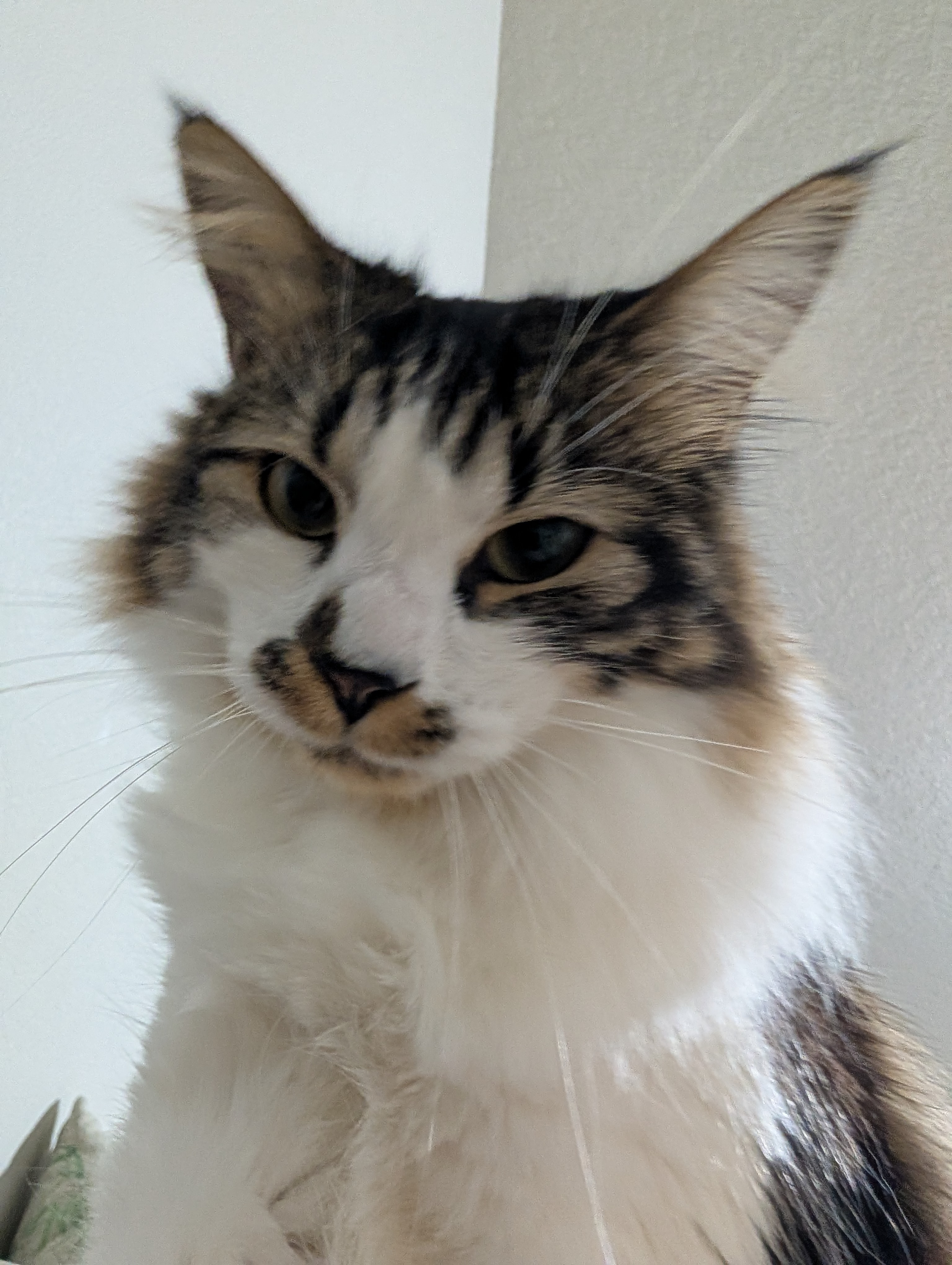 user avatar image for Yuki