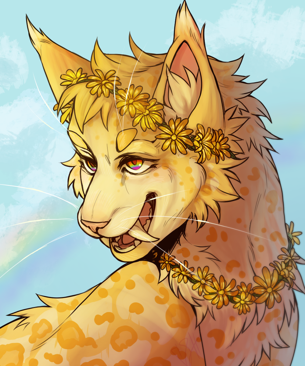 user avatar image for Lulu