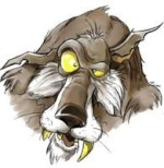 user avatar image for Alexis COURTEIX