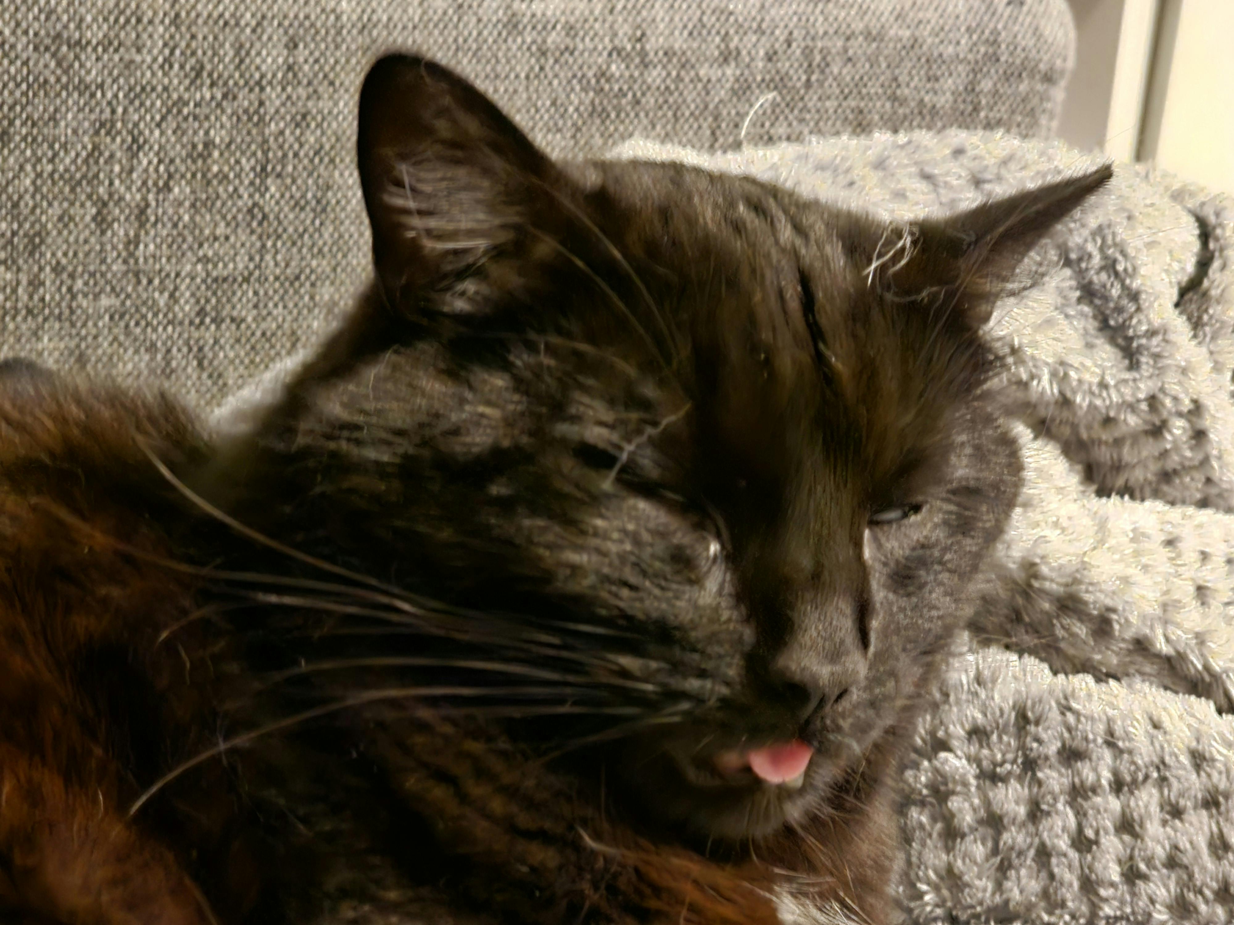 user avatar image for Nachspeise(Nacho)