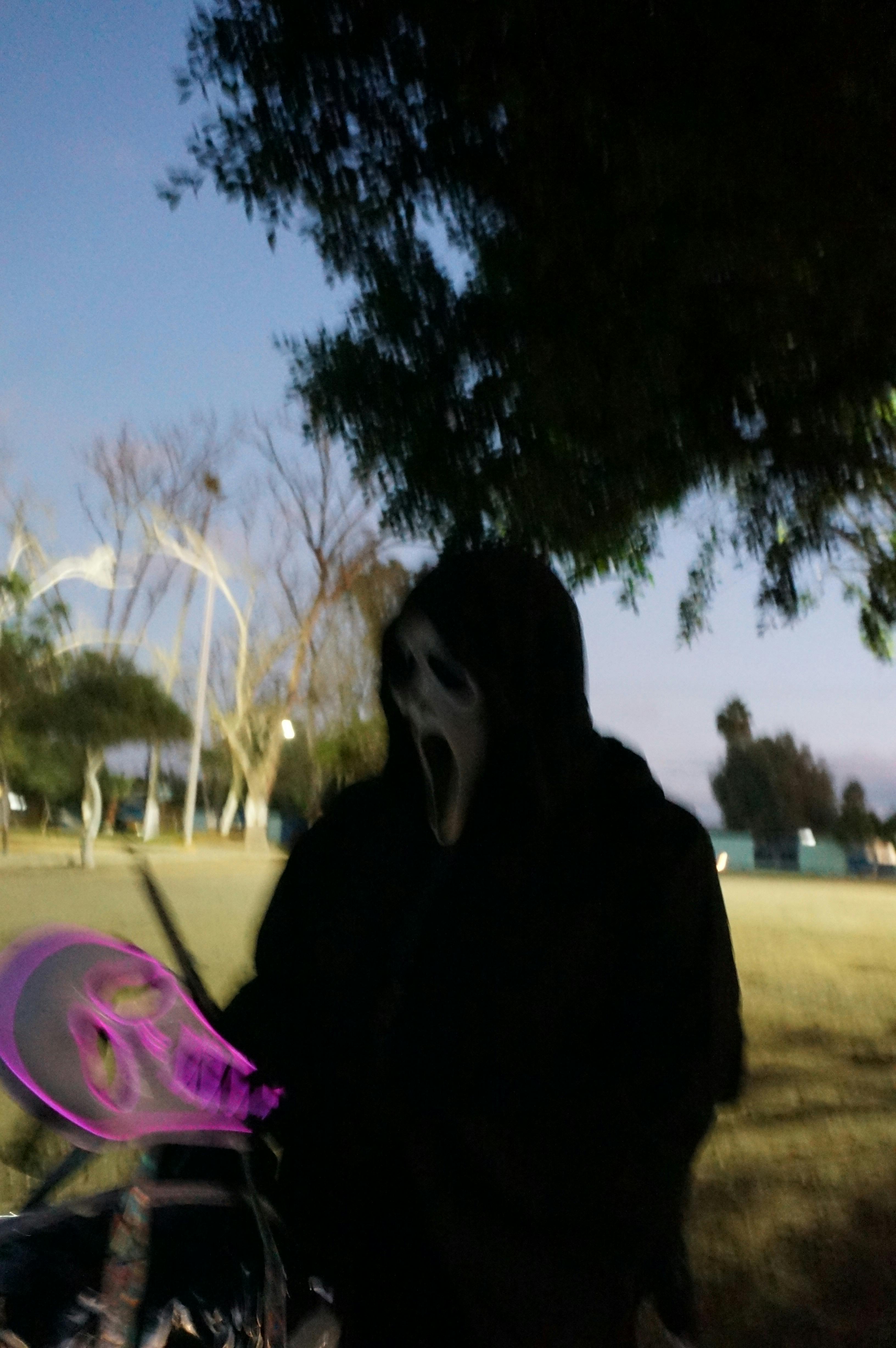 user avatar image for Daniel Garcia 