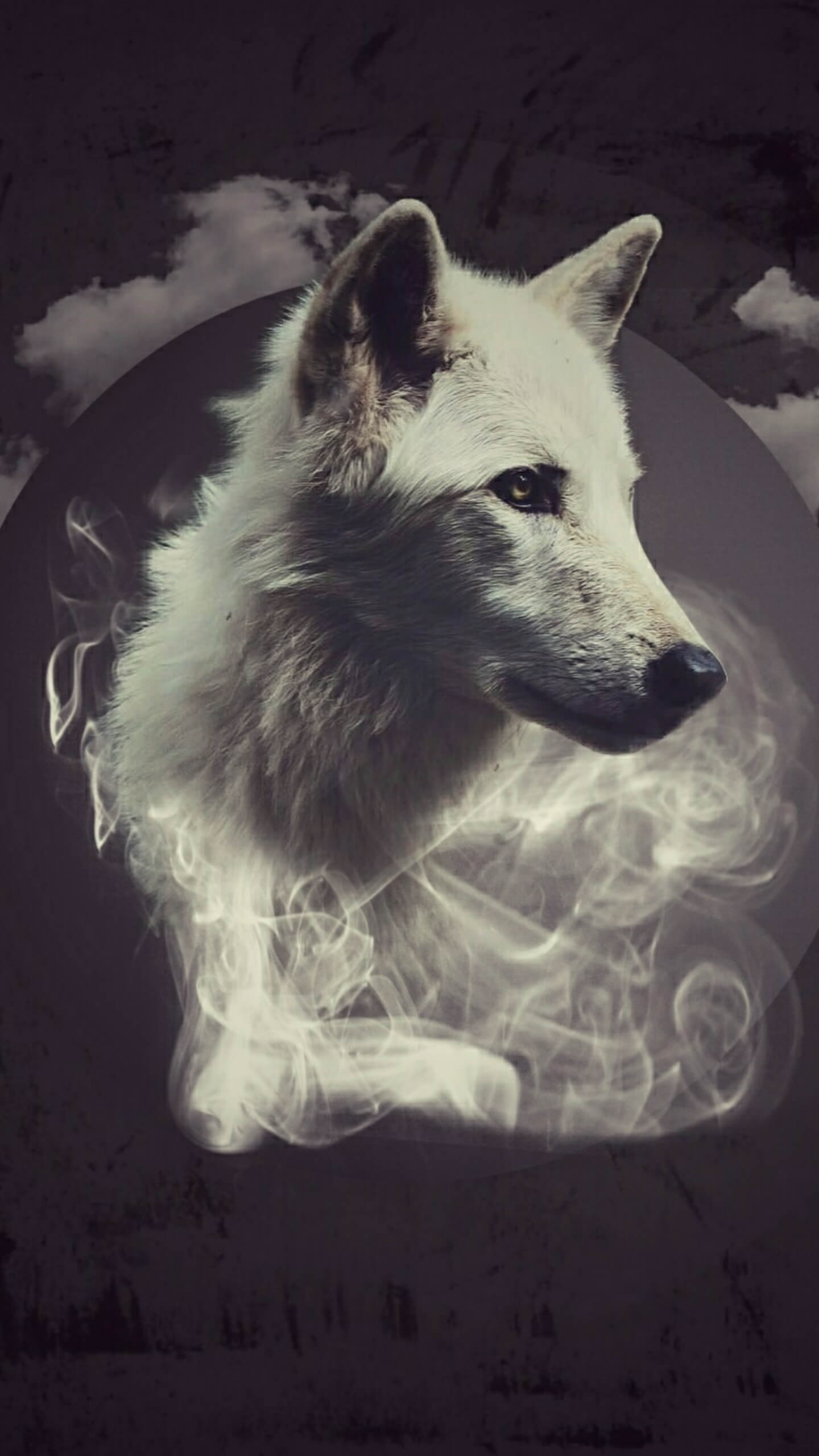 user avatar image for Aysha