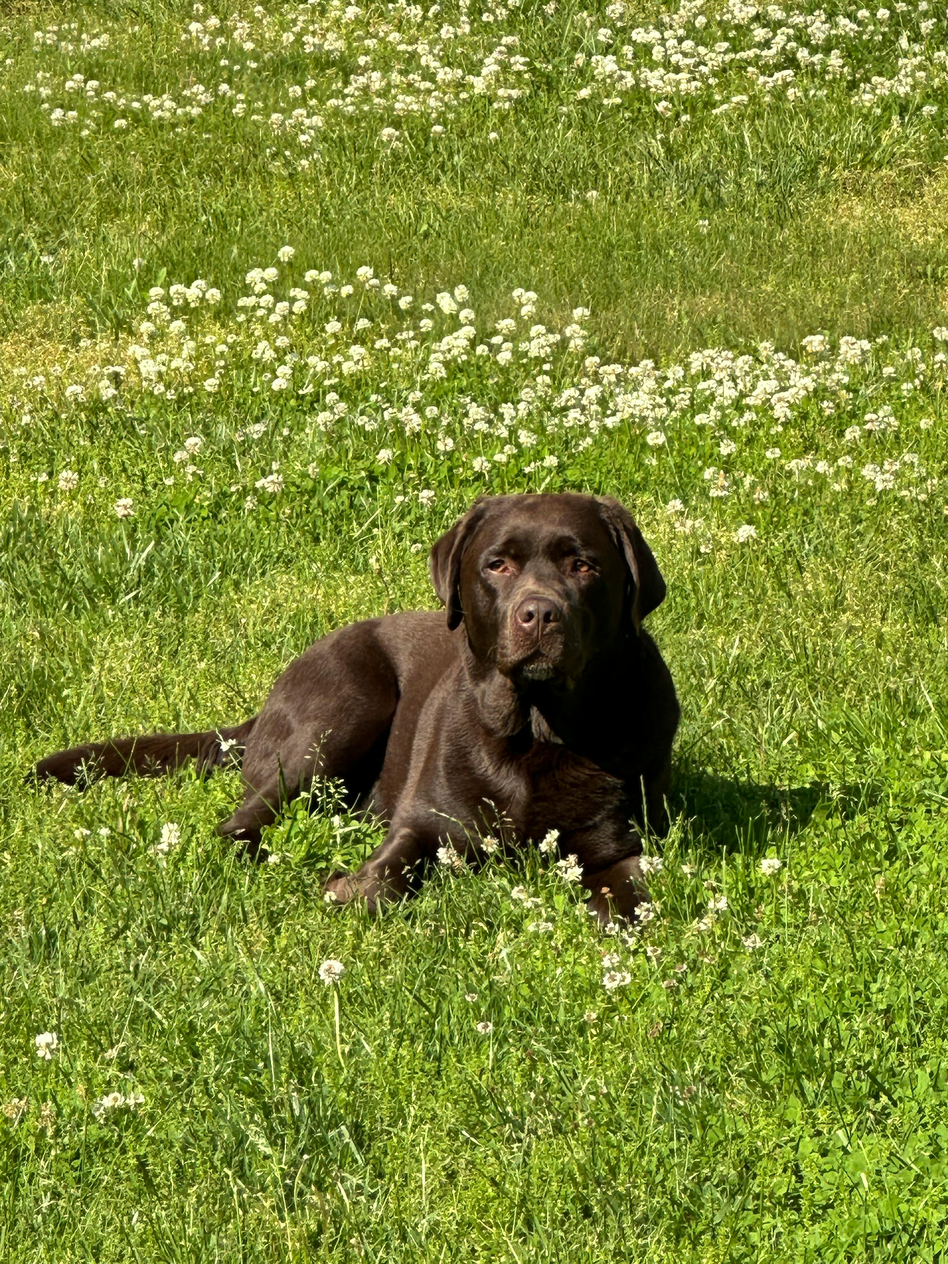 user avatar image for Karissa