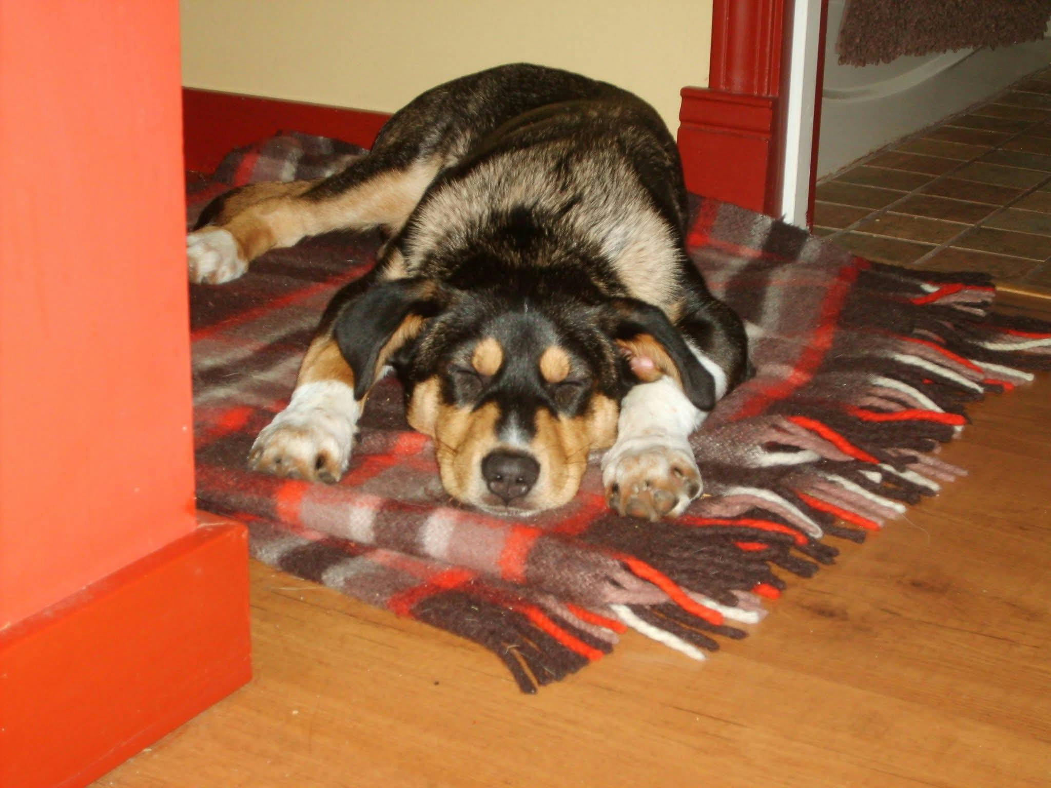 user avatar image for Alan Snider