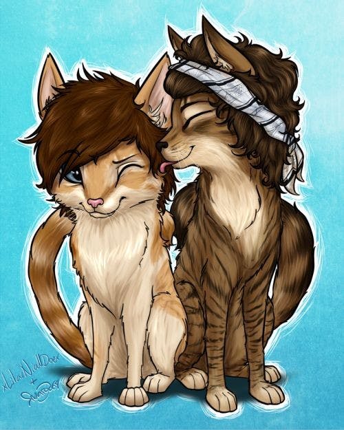 user avatar image for Dustyn