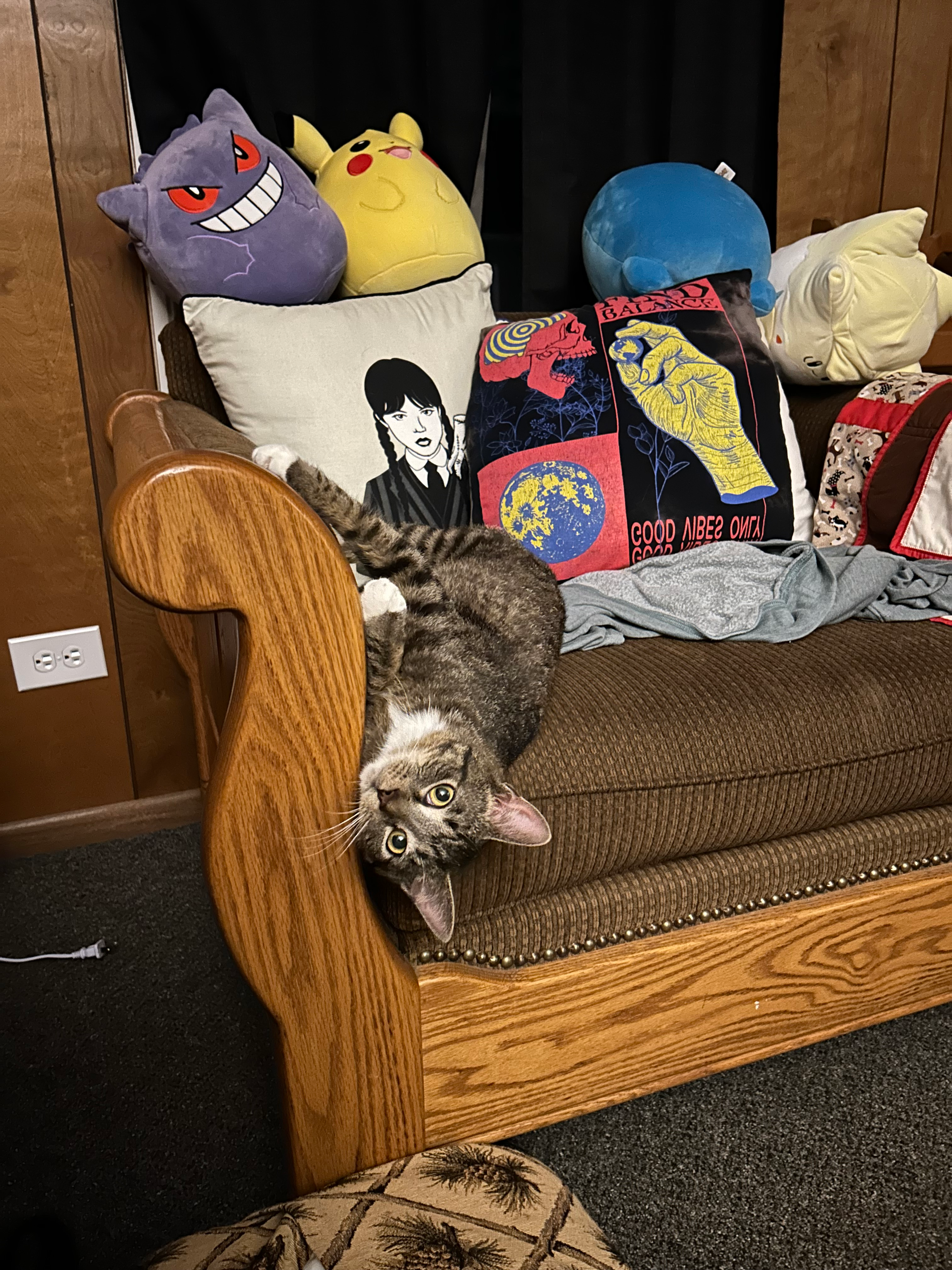 user avatar image for Carly Soden