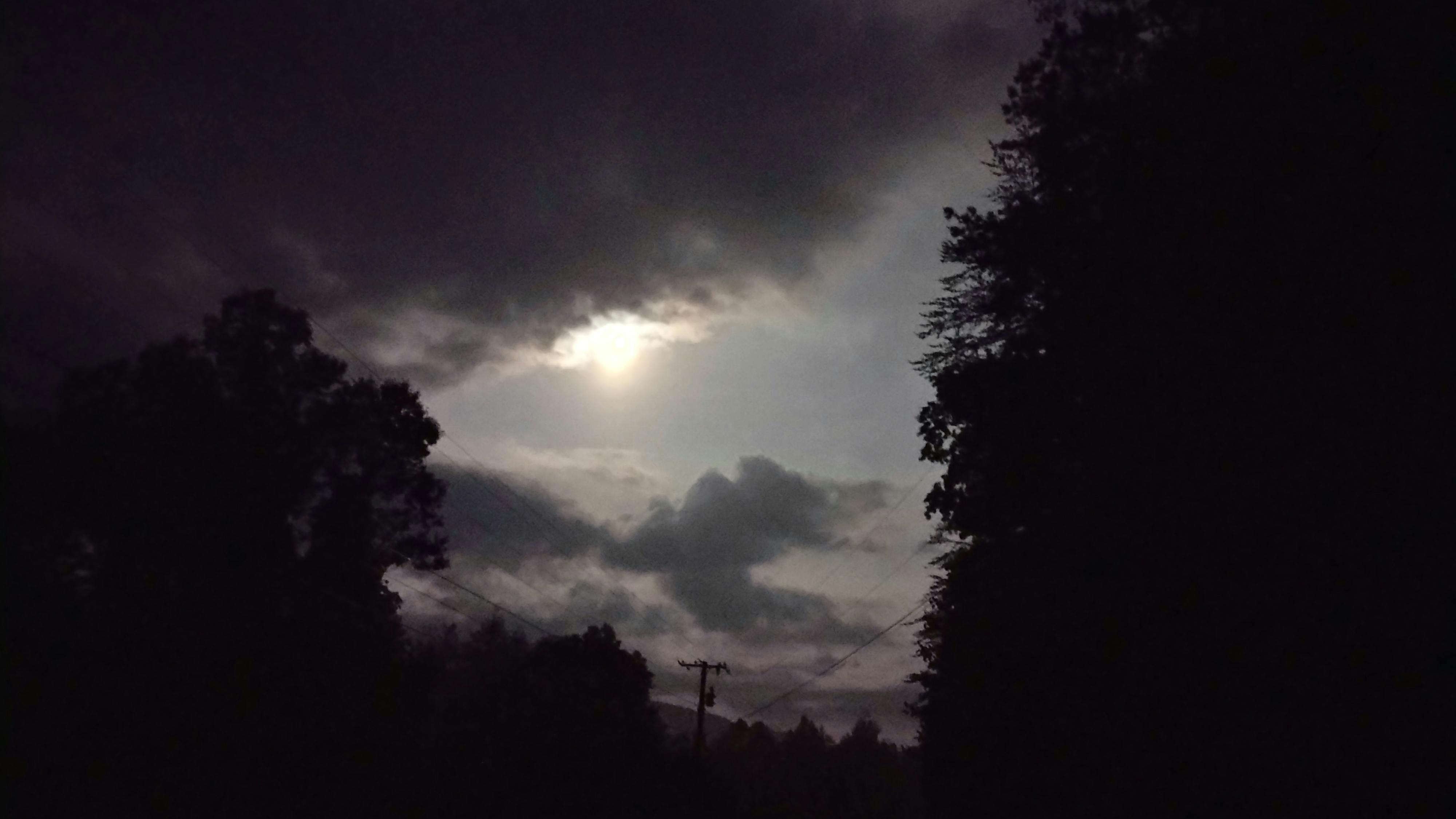 user avatar image for Odinite 