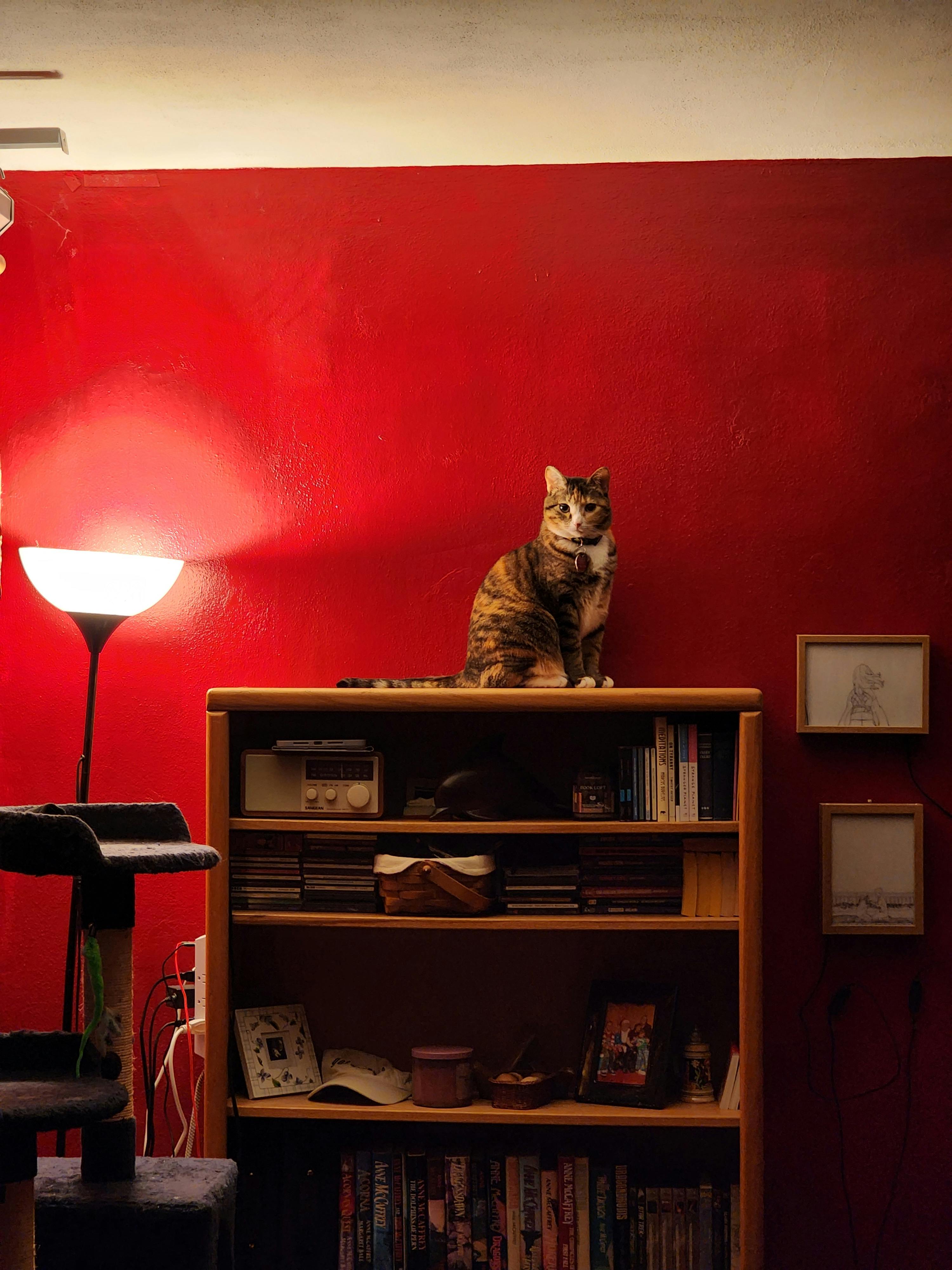 user avatar image for AlauraNikita